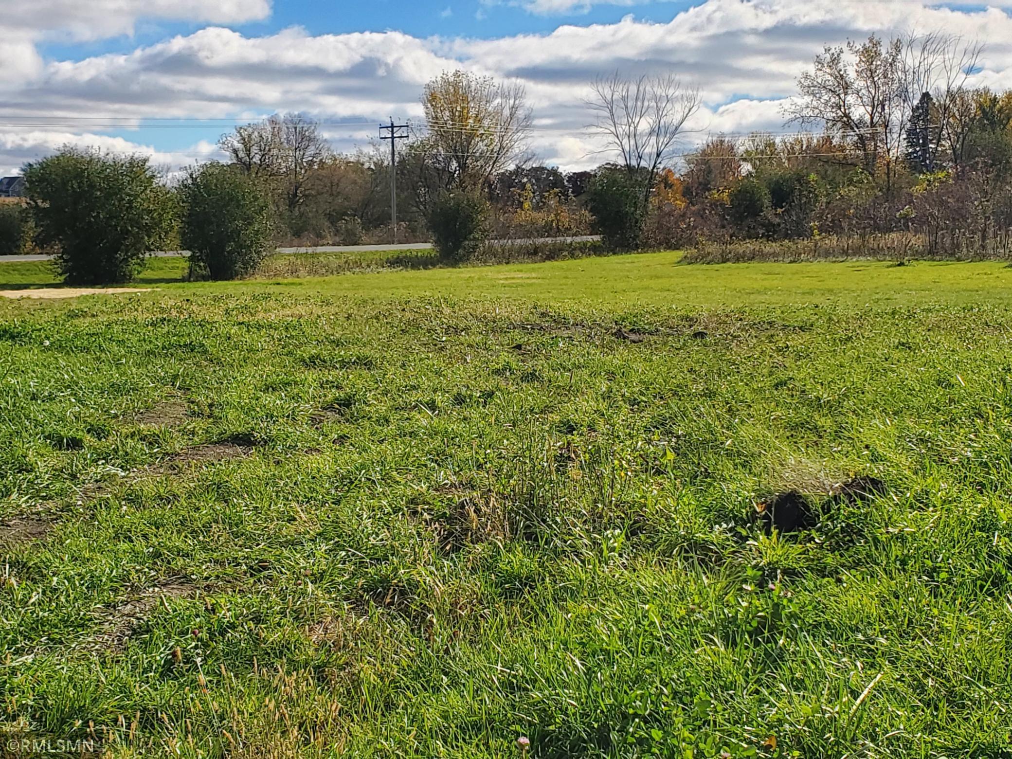 183 Pintail Street Property Photo 3