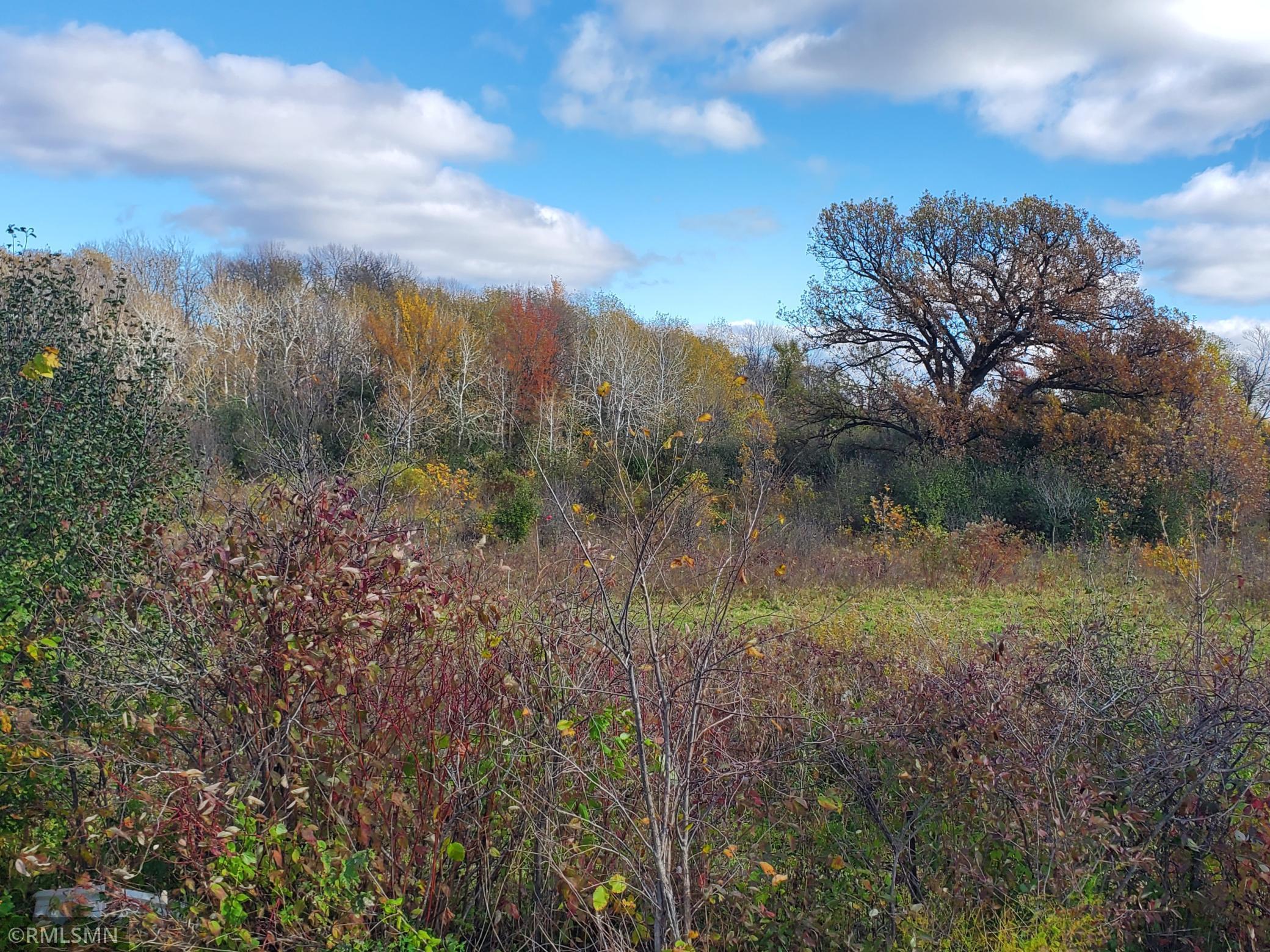 183 Pintail Street Property Photo 8