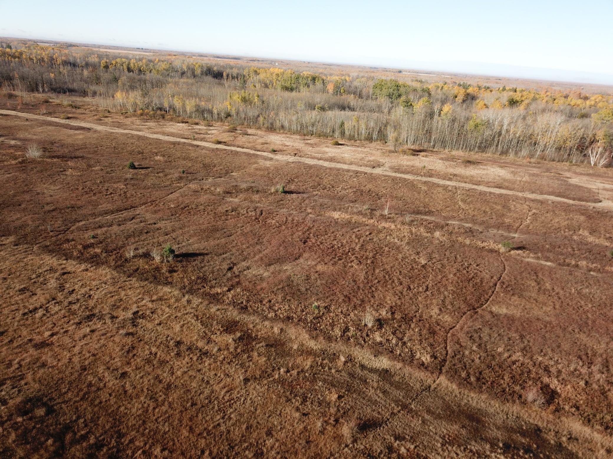 Tbd 380th Street Property Photo 9
