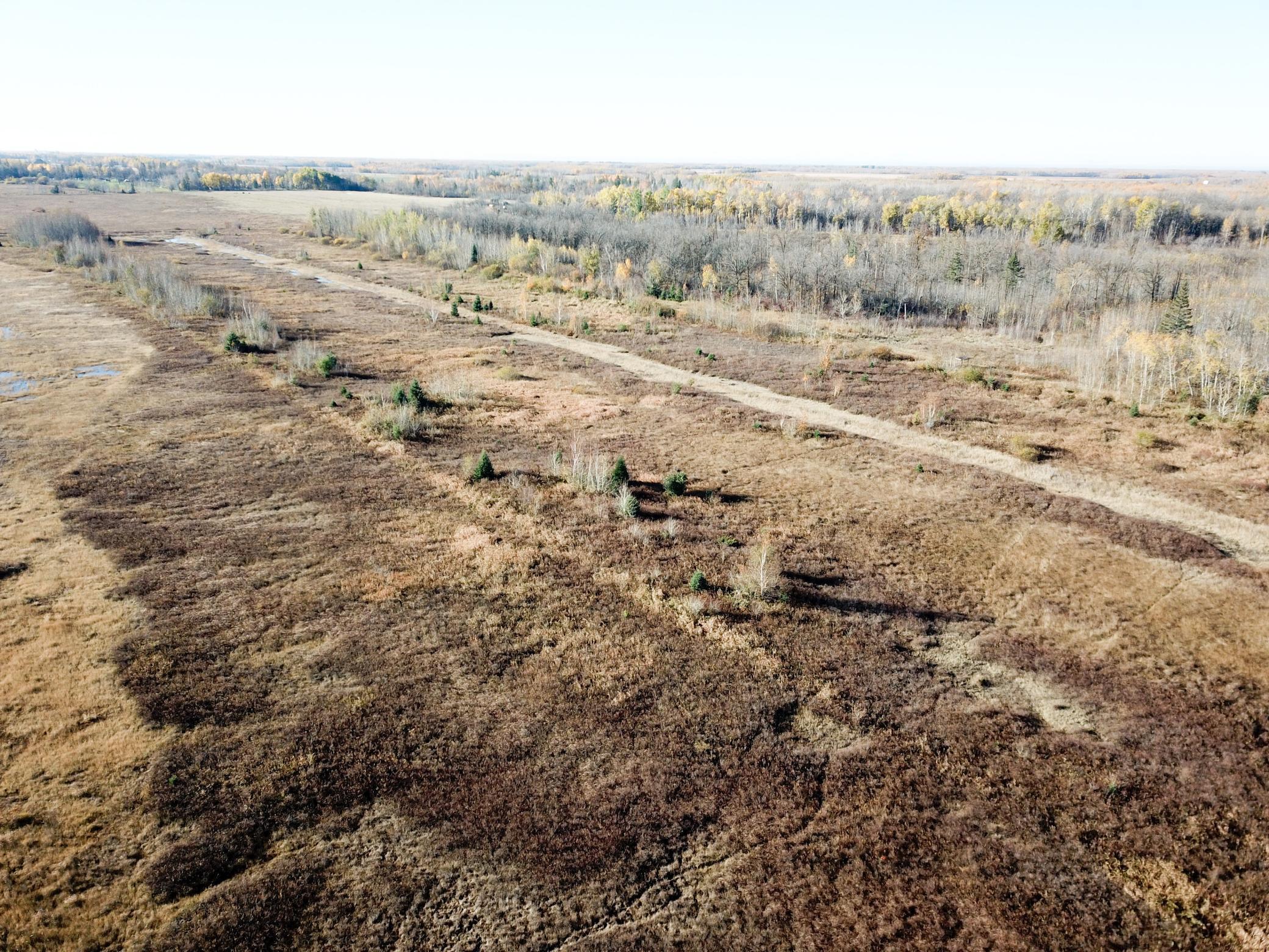 Tbd 380th Street Property Photo 10