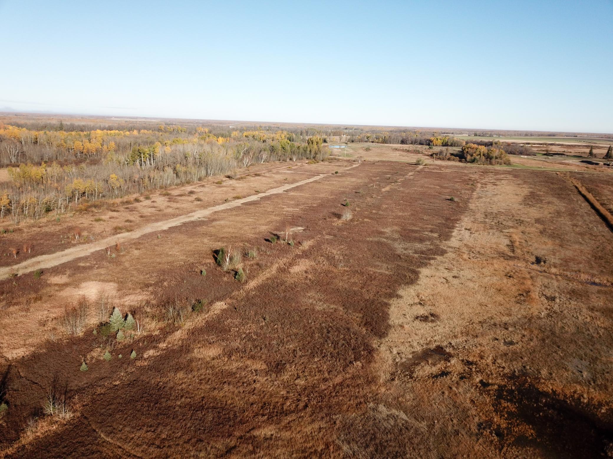 Tbd 380th Street Property Photo 16