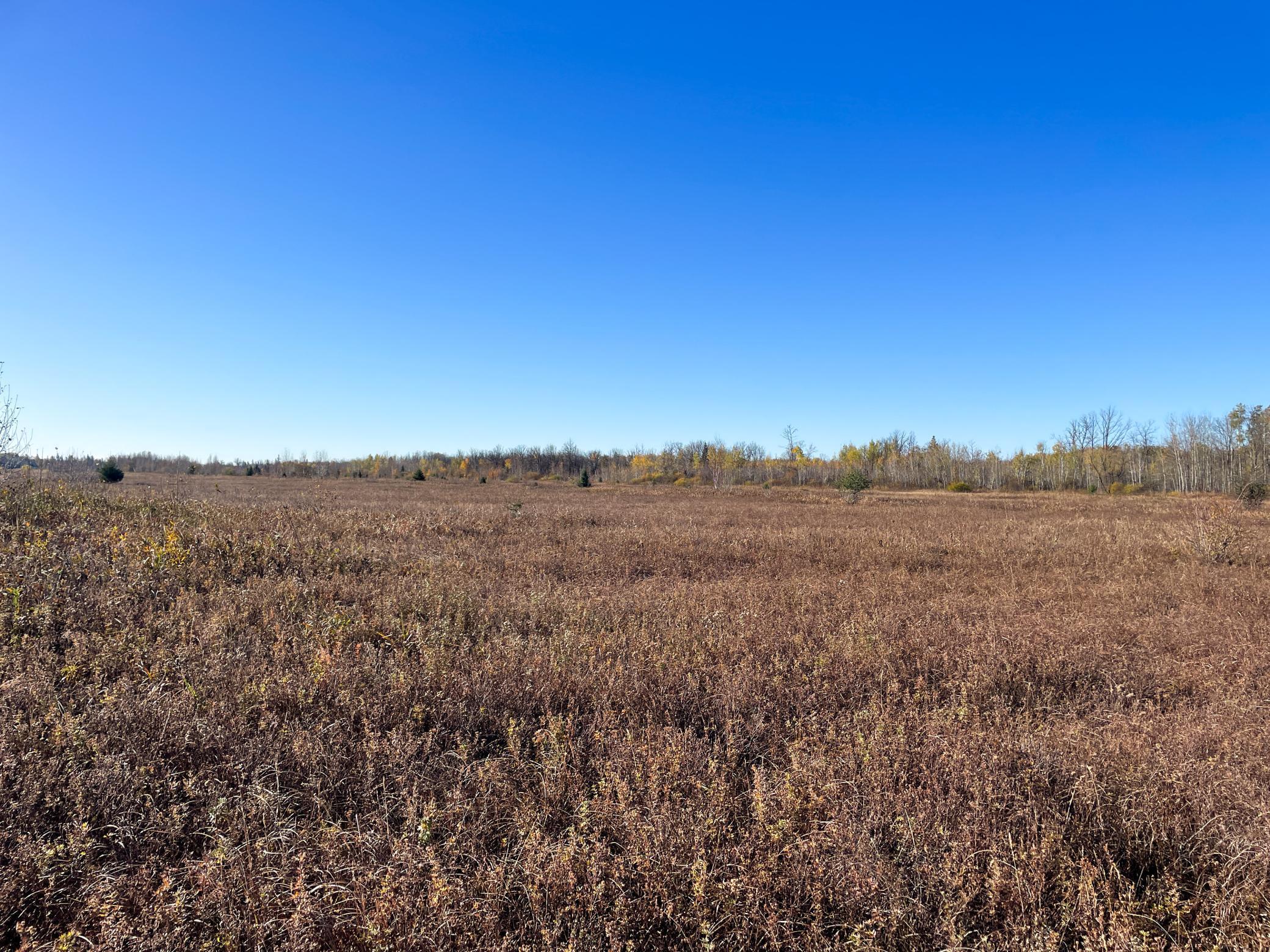 Tbd 380th Street Property Photo 25