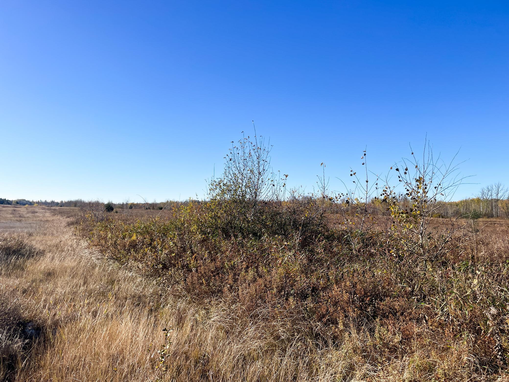 Tbd 380th Street Property Photo 26