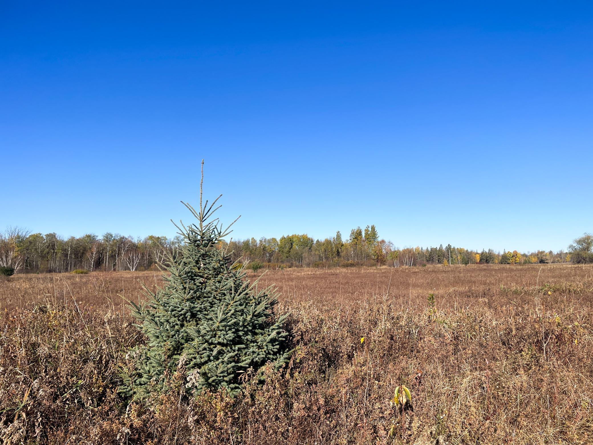 Tbd 380th Street Property Photo 27