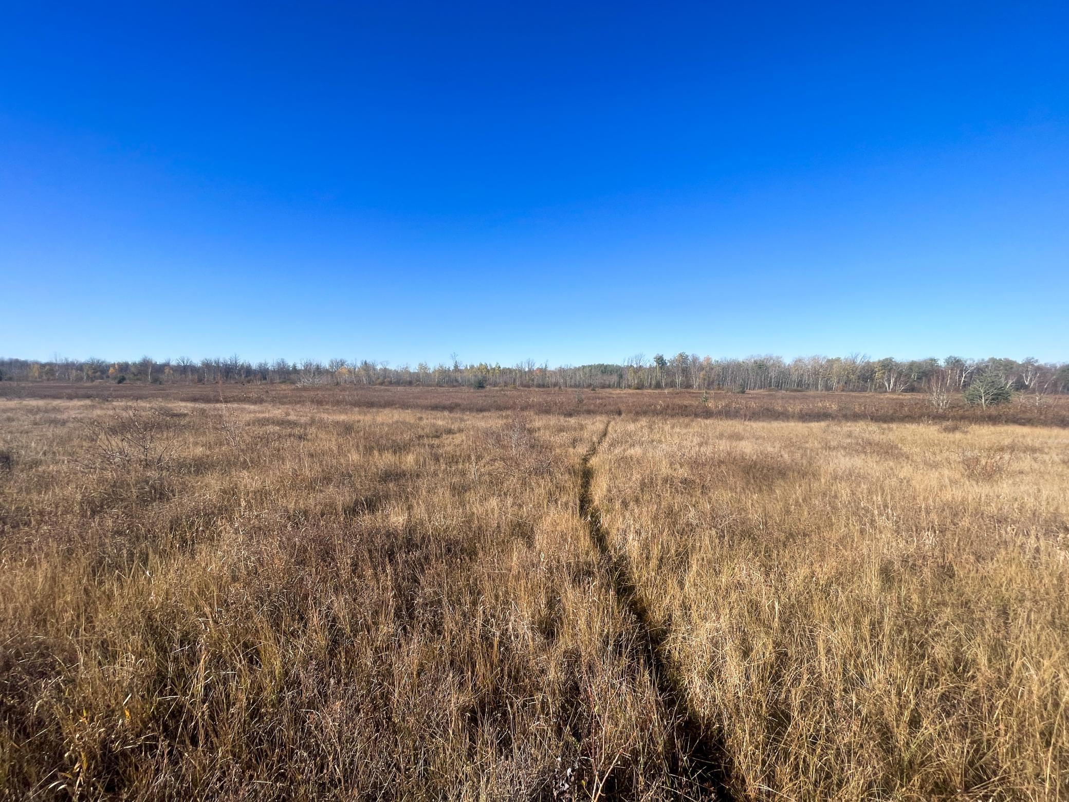 Tbd 380th Street Property Photo 28