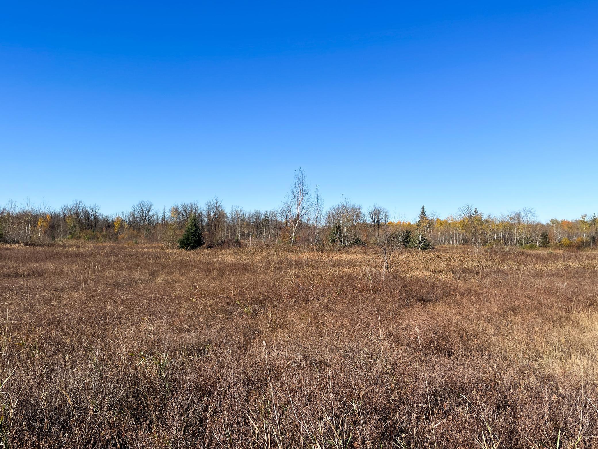 Tbd 380th Street Property Photo 29