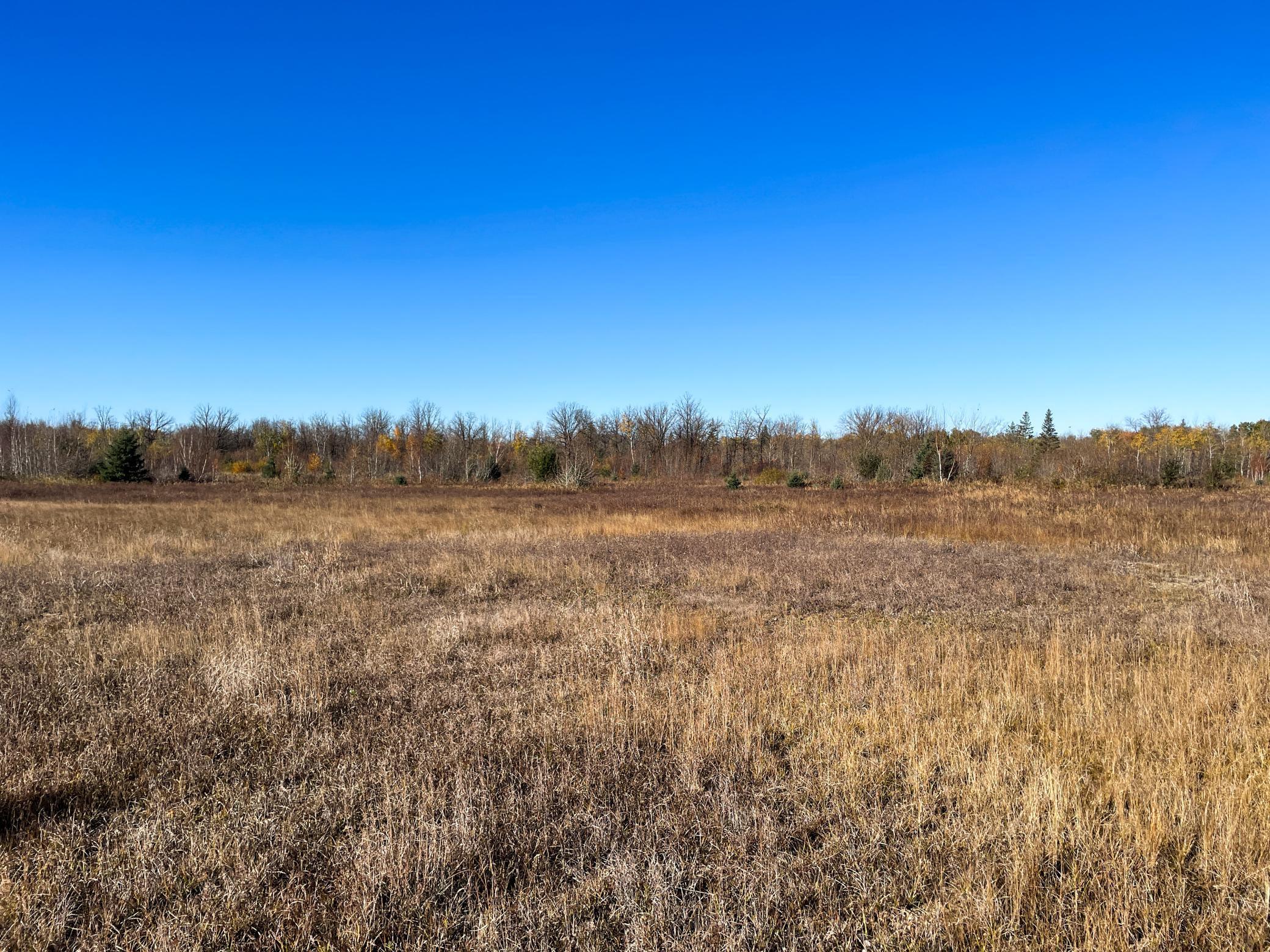 Tbd 380th Street Property Photo 31