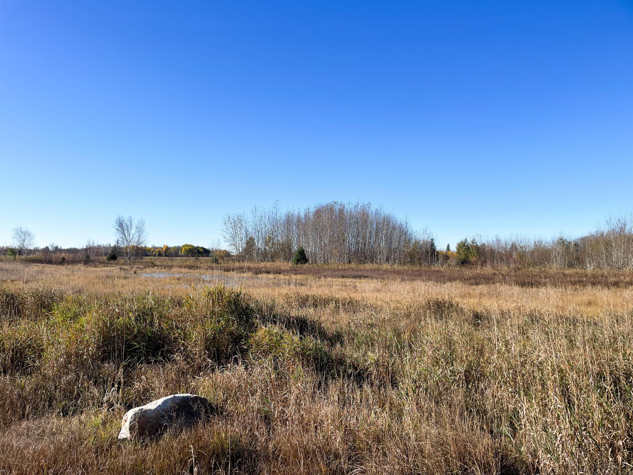 Tbd 380th Street Property Photo 34