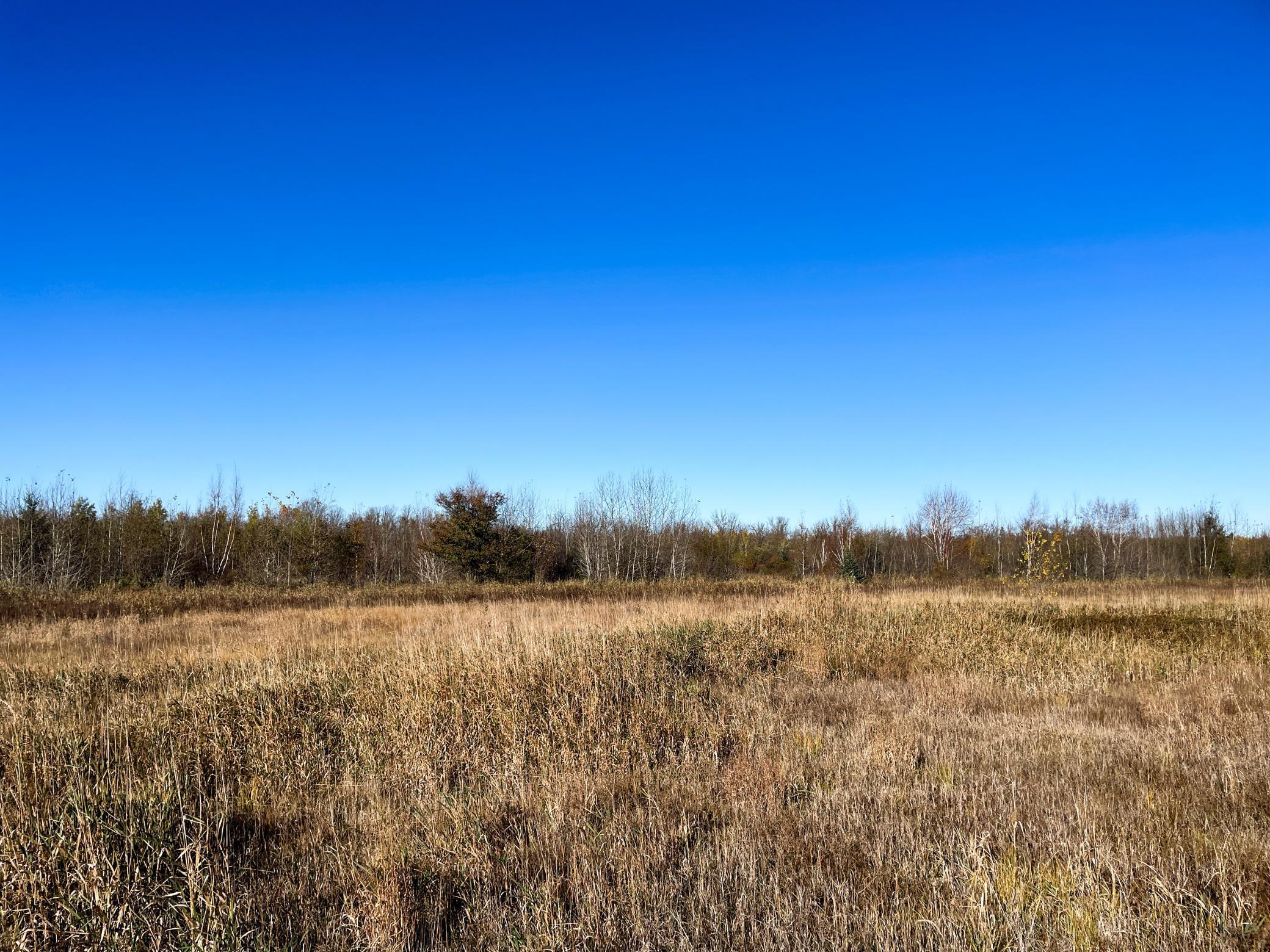 Tbd 380th Street Property Photo 35