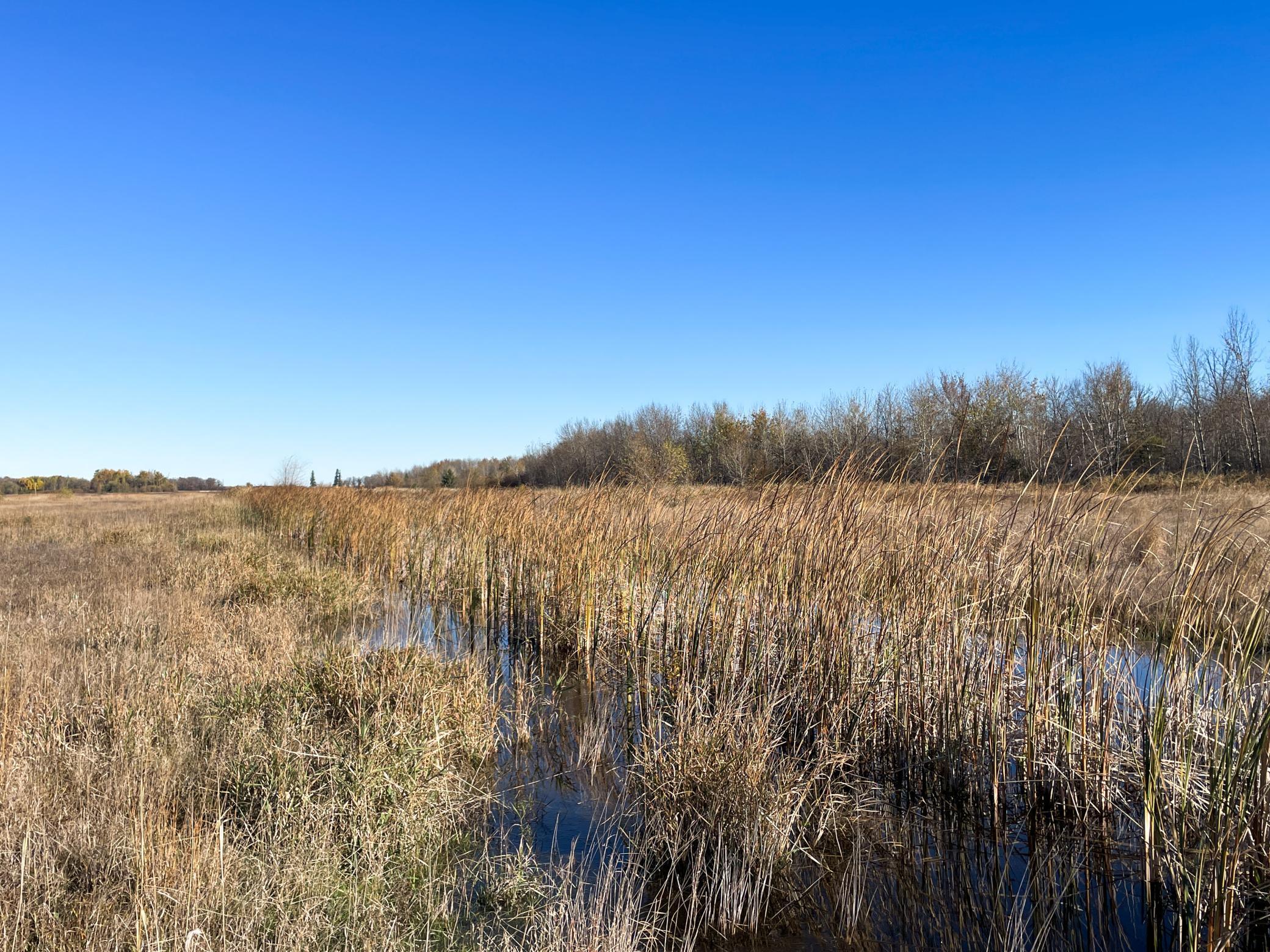 Tbd 380th Street Property Photo 37