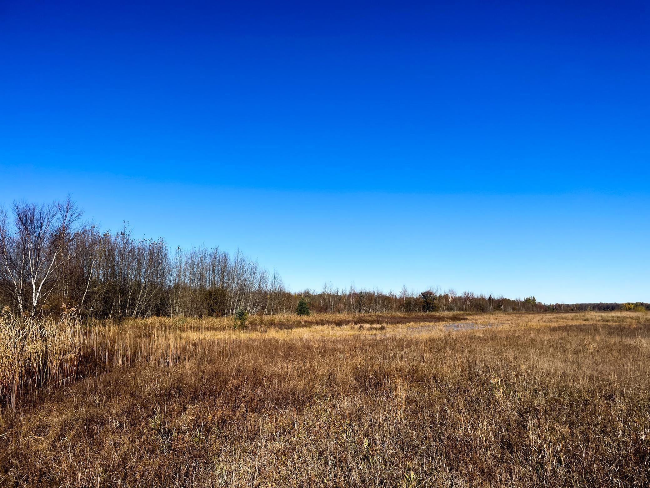 Tbd 380th Street Property Photo 38