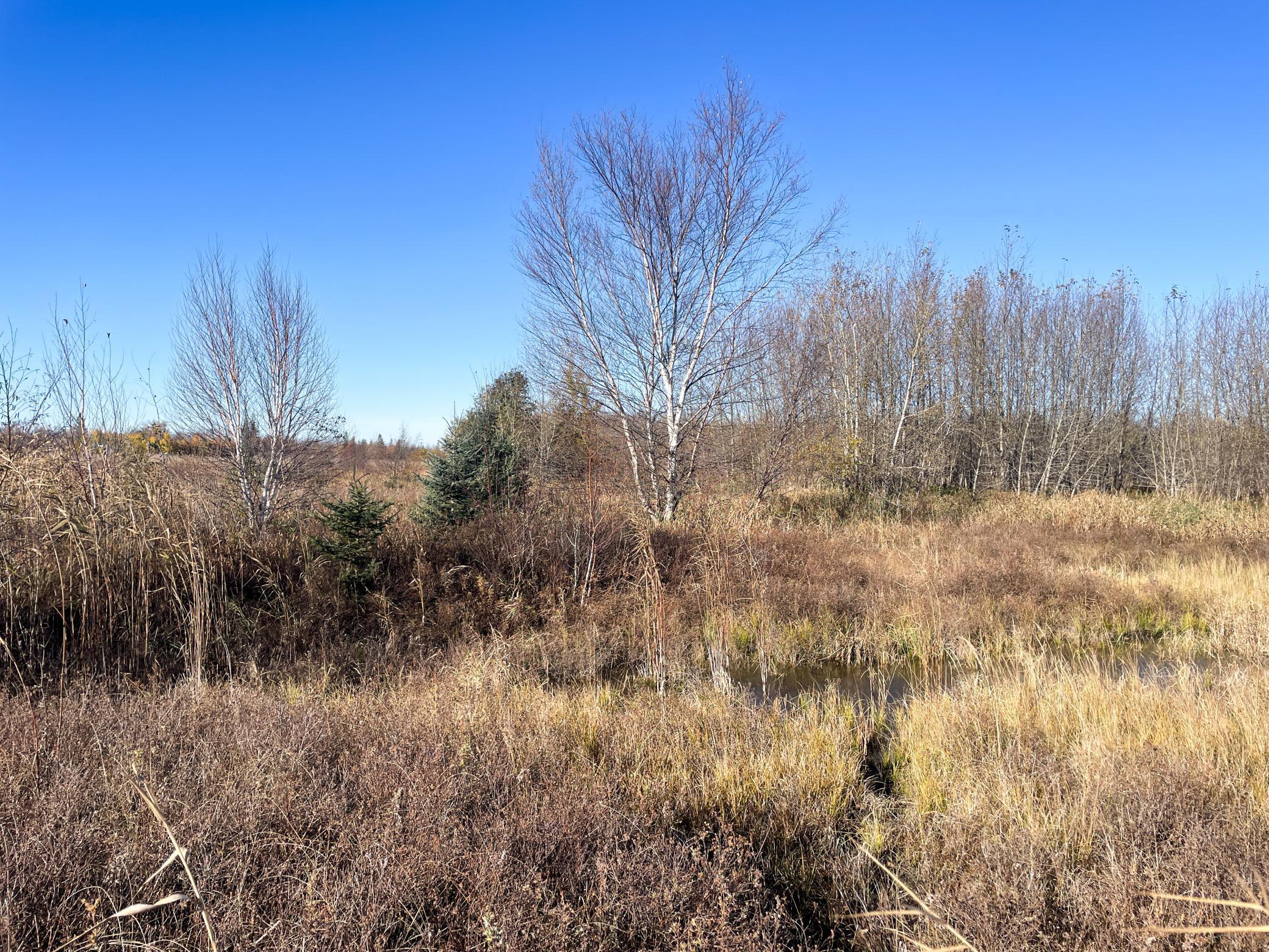Tbd 380th Street Property Photo 39