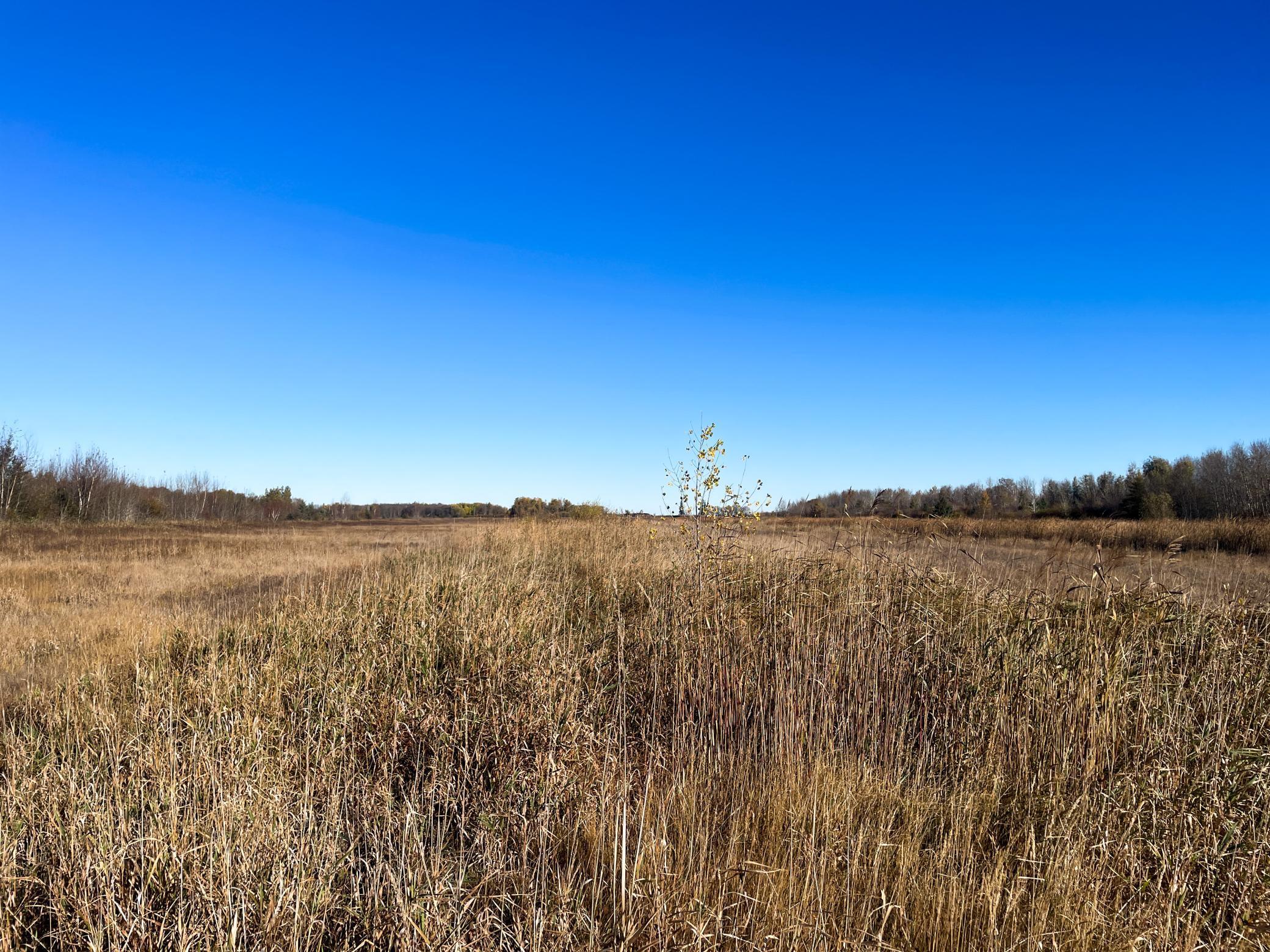 Tbd 380th Street Property Photo 40