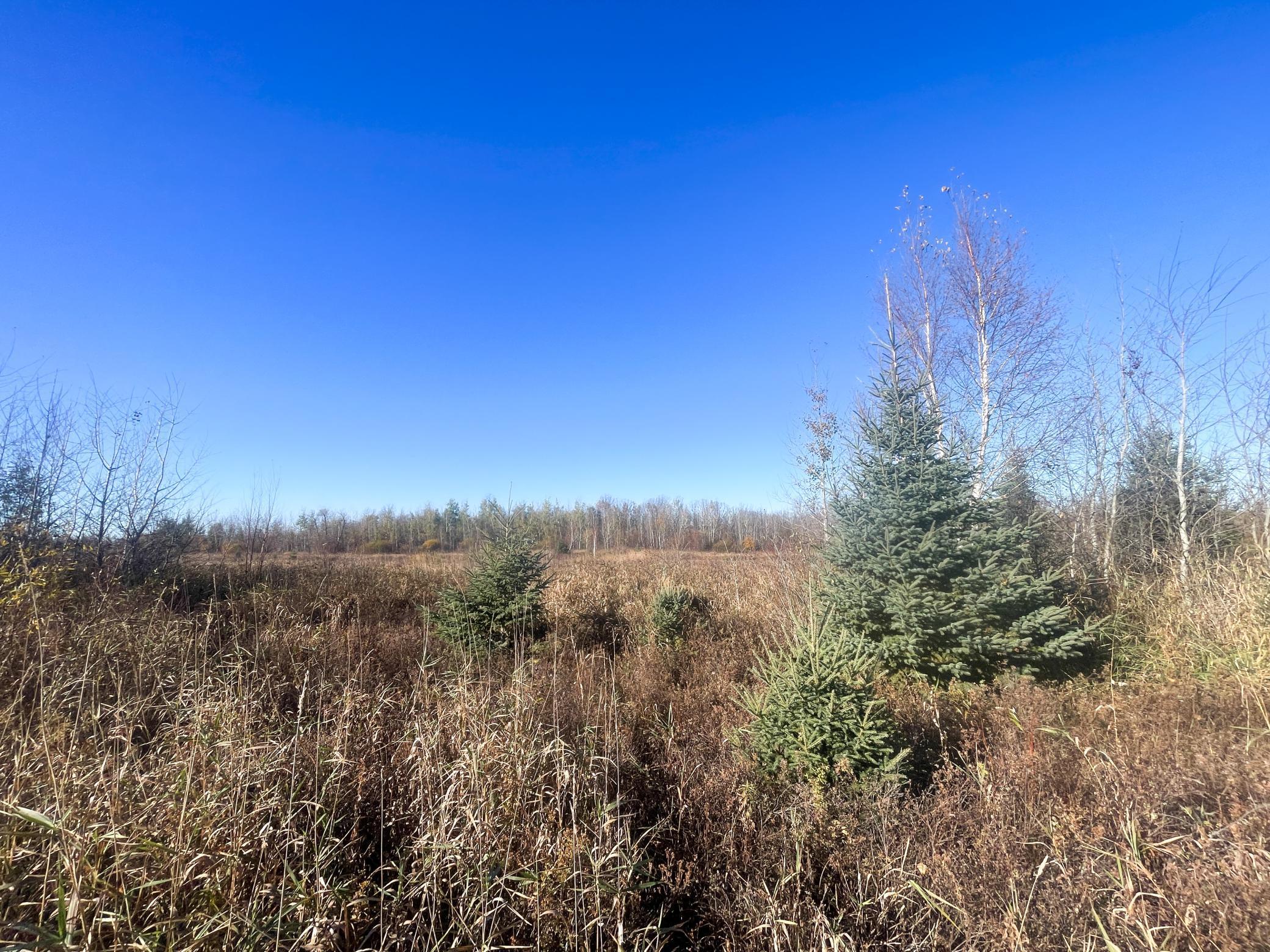 Tbd 380th Street Property Photo 41