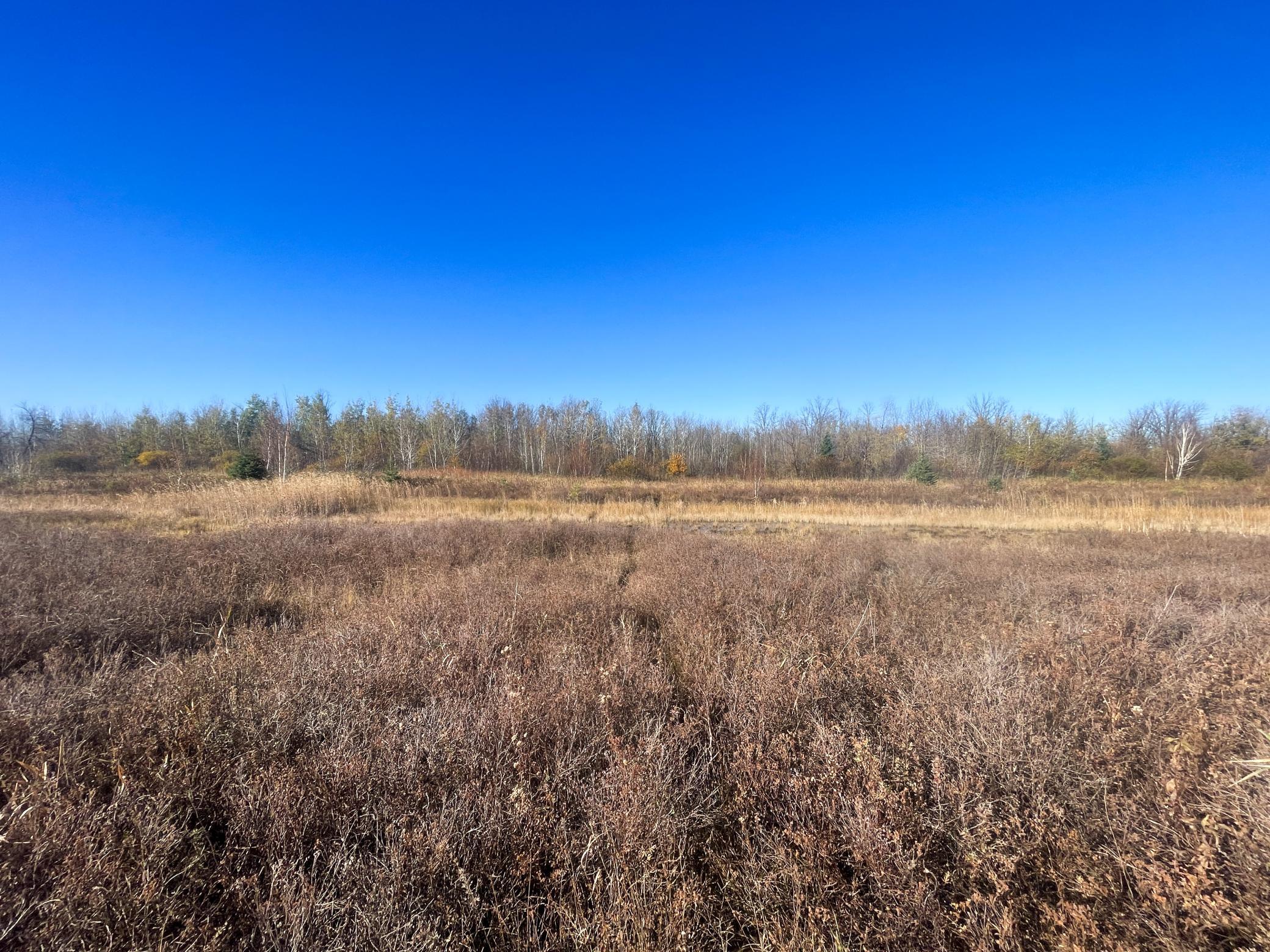 Tbd 380th Street Property Photo 42