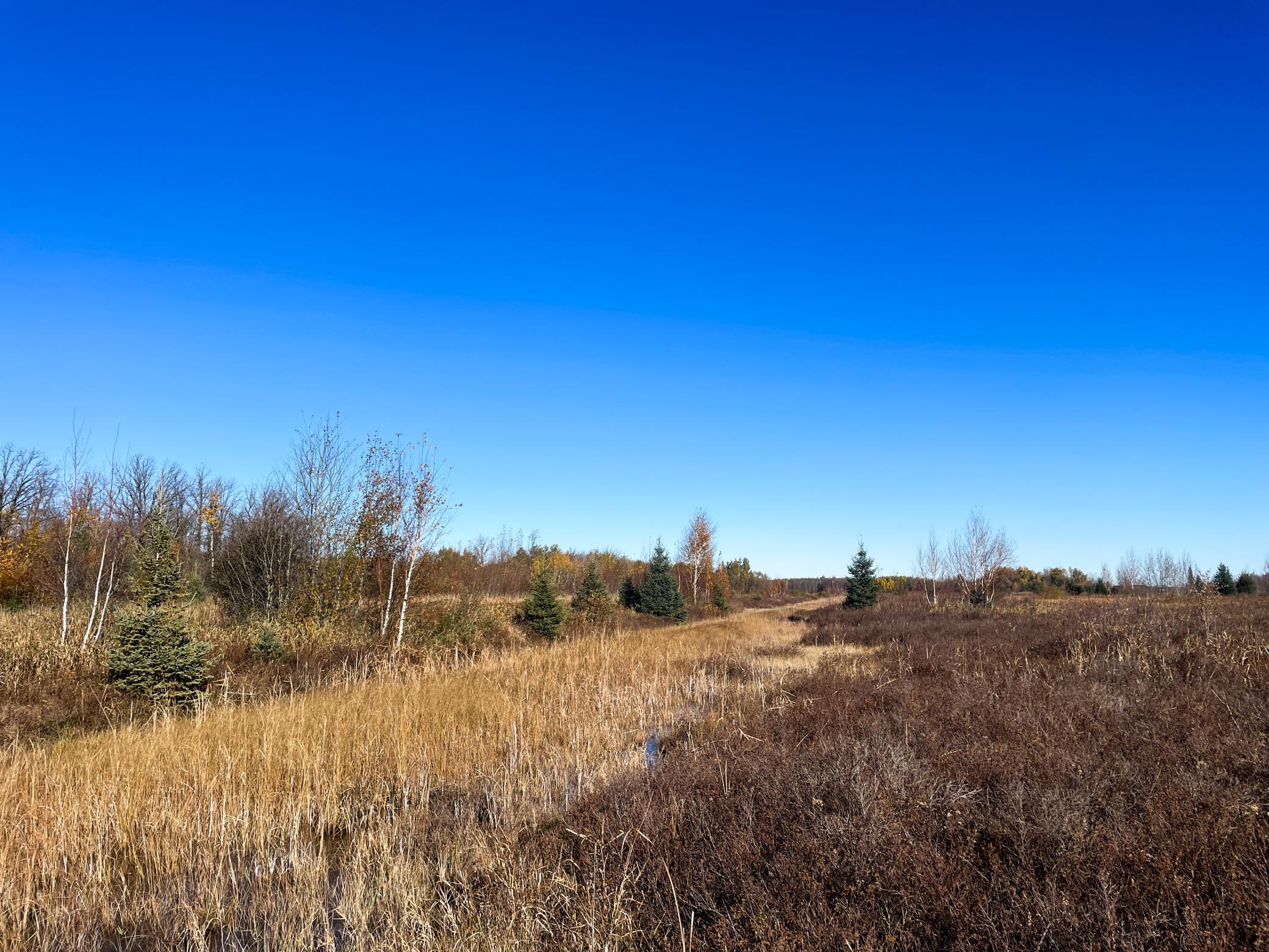 Tbd 380th Street Property Photo 43