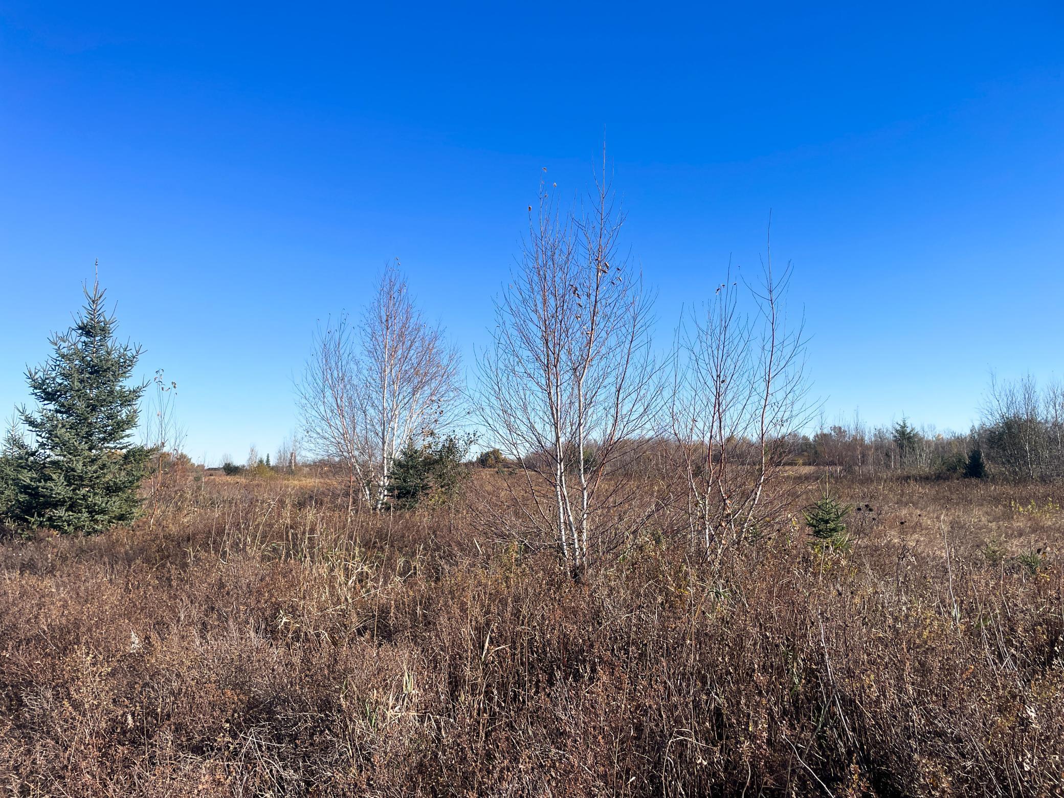 Tbd 380th Street Property Photo 44