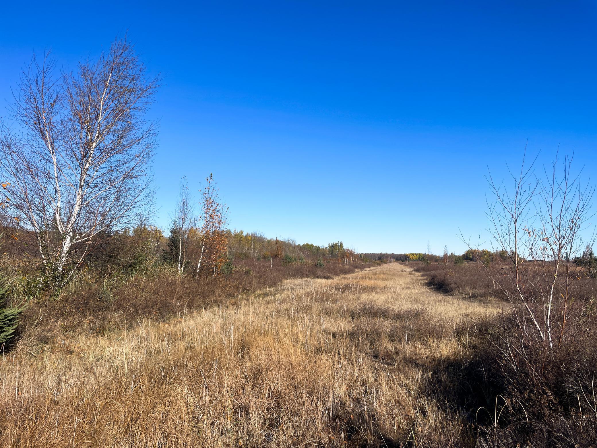 Tbd 380th Street Property Photo 45
