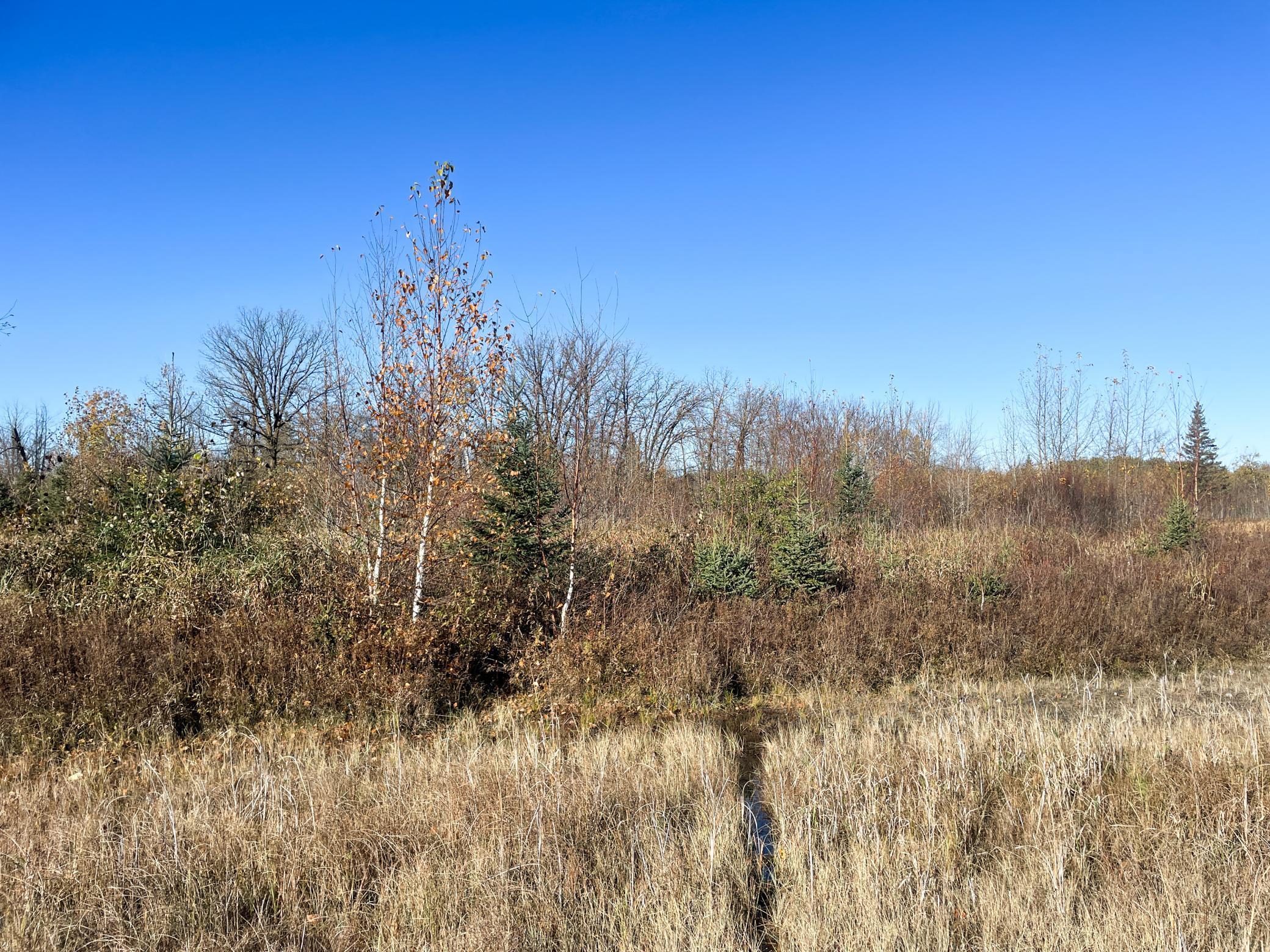 Tbd 380th Street Property Photo 46