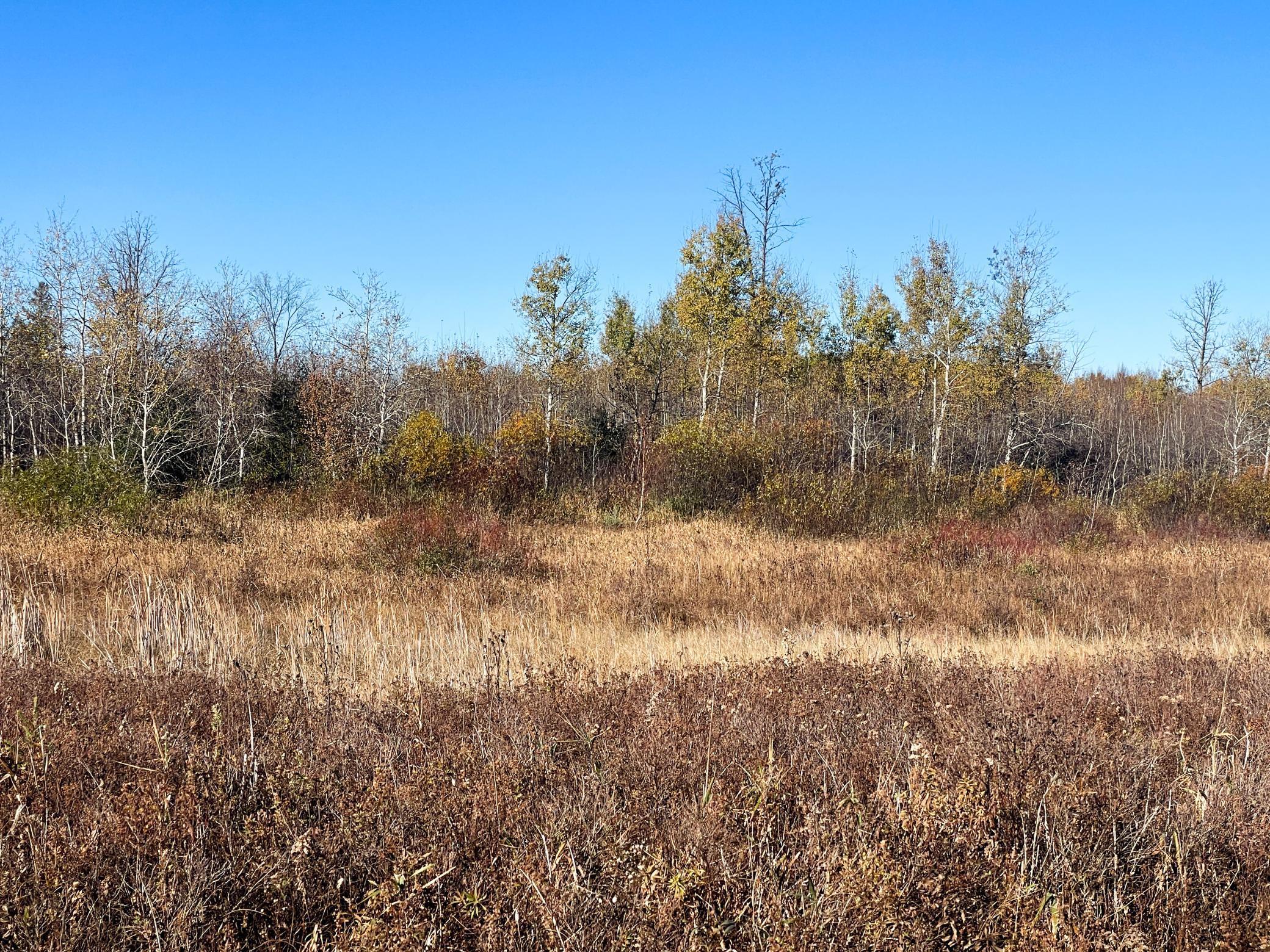 Tbd 380th Street Property Photo 47