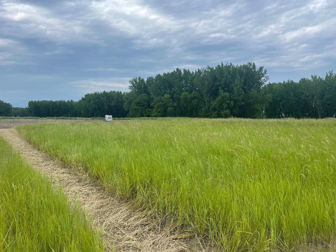 10220 State Hwy 9 S Property Photo 1