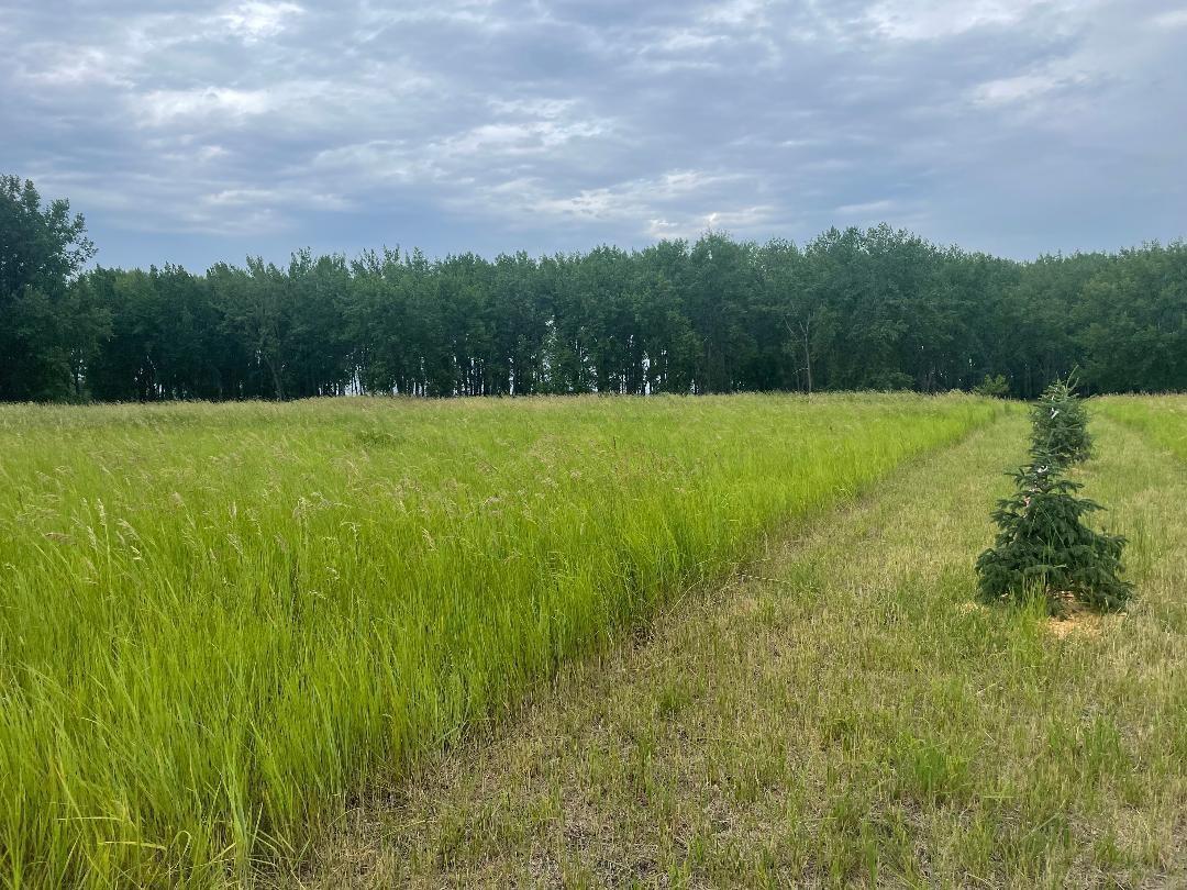 10220 State Hwy 9 S Property Photo 4