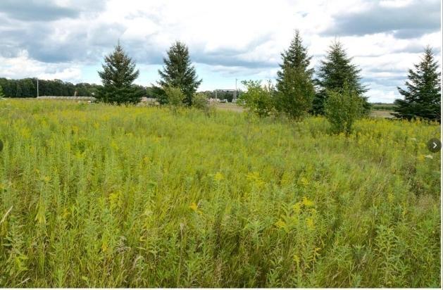20xxx Highway #169 Property Photo 8