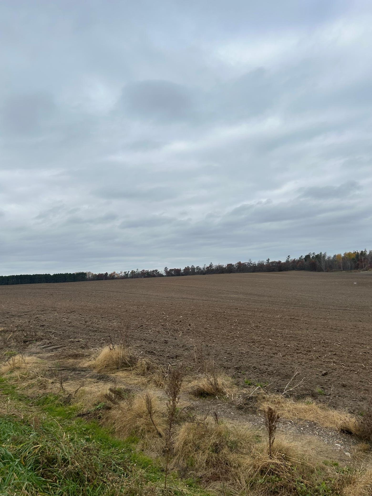 142 AC Basswood Lake Rd Property Photo 1