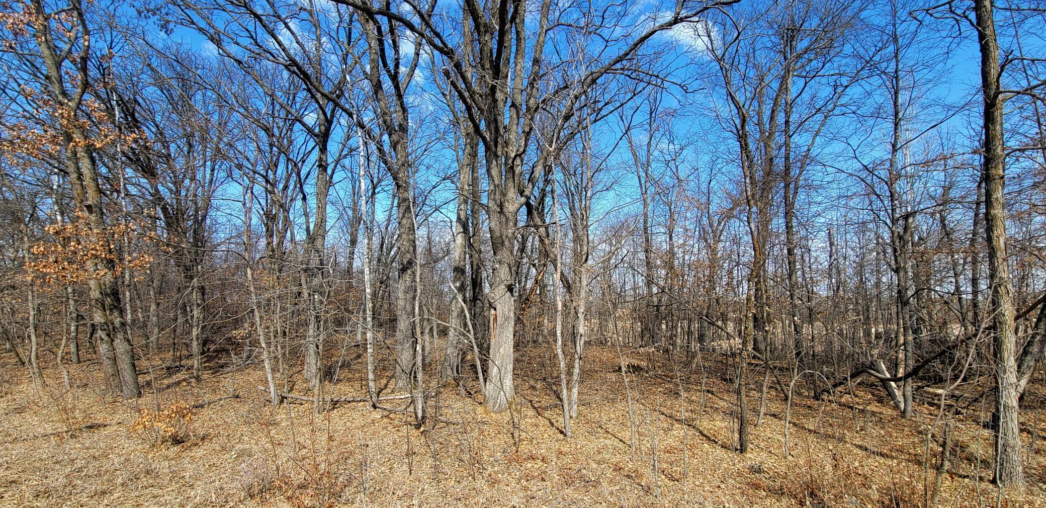 514xx Leaf River Road Tract C Property Photo 1