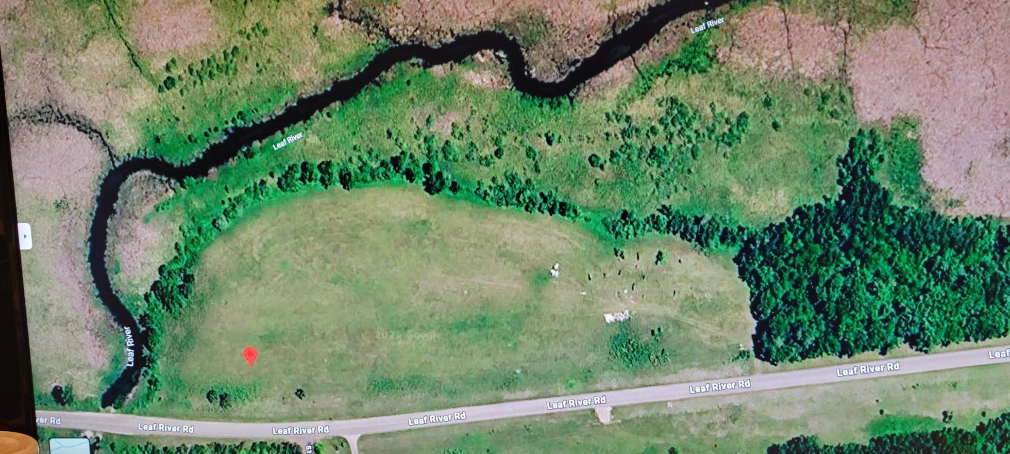 514xx Leaf River Road Tract C Property Photo 4