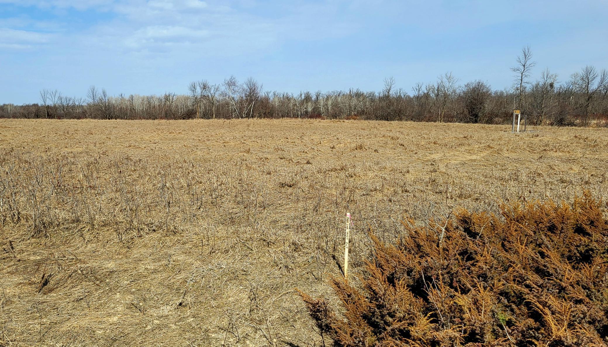 514xx Leaf River Road Tract C Property Photo 7