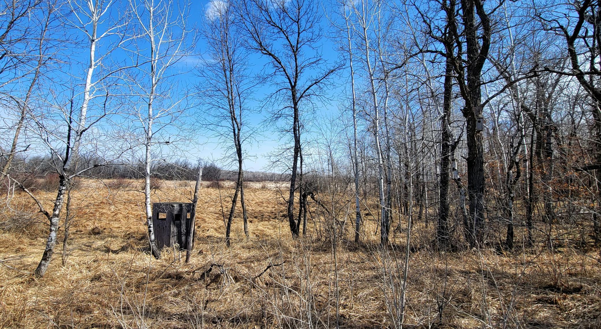 514xx Leaf River Road Tract C Property Photo 12