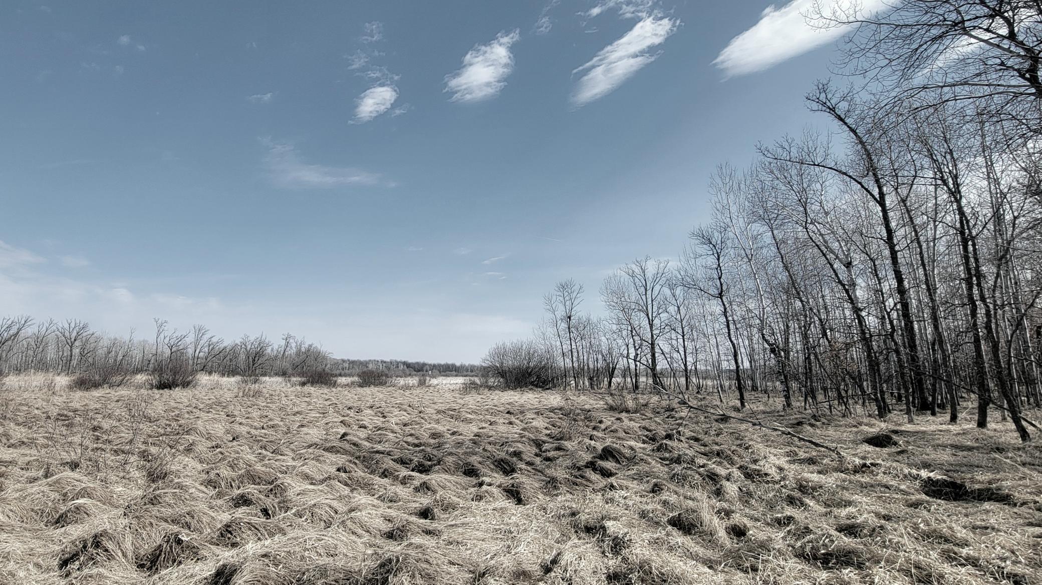 514xx Leaf River Road Tract C Property Photo 23