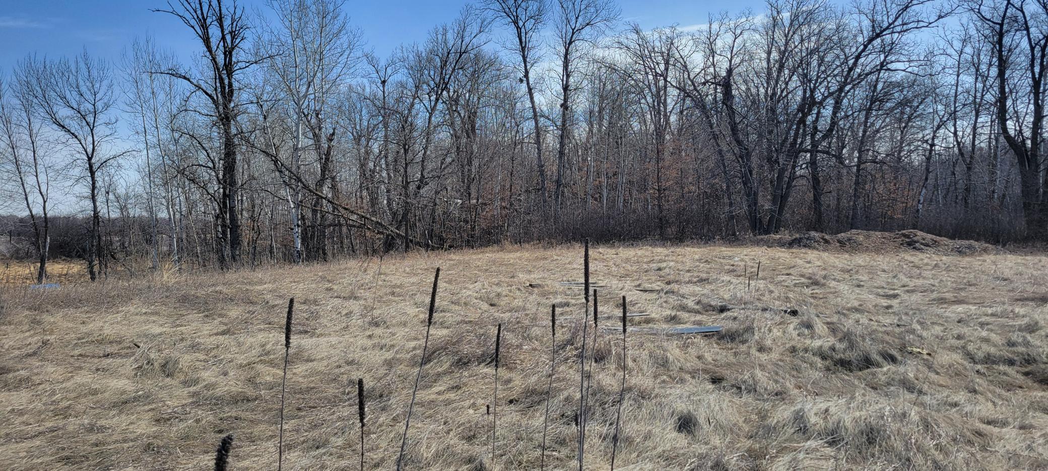 514xx Leaf River Road Tract C Property Photo 24