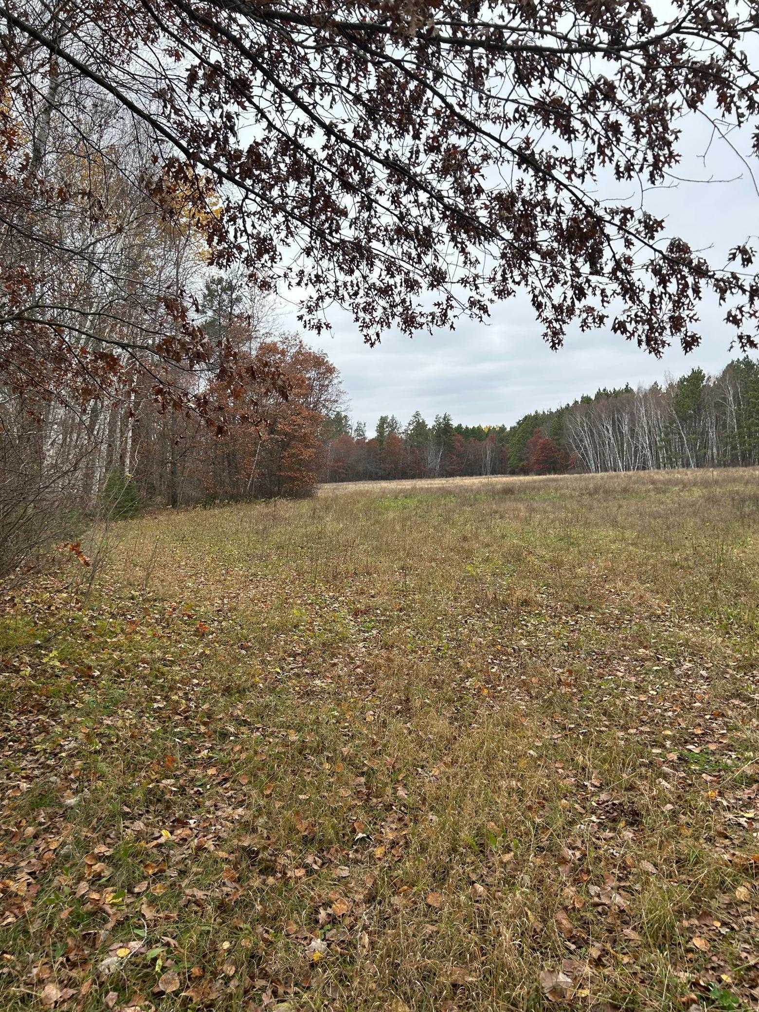 160 Ac Basswood Lake Road Property Photo 1