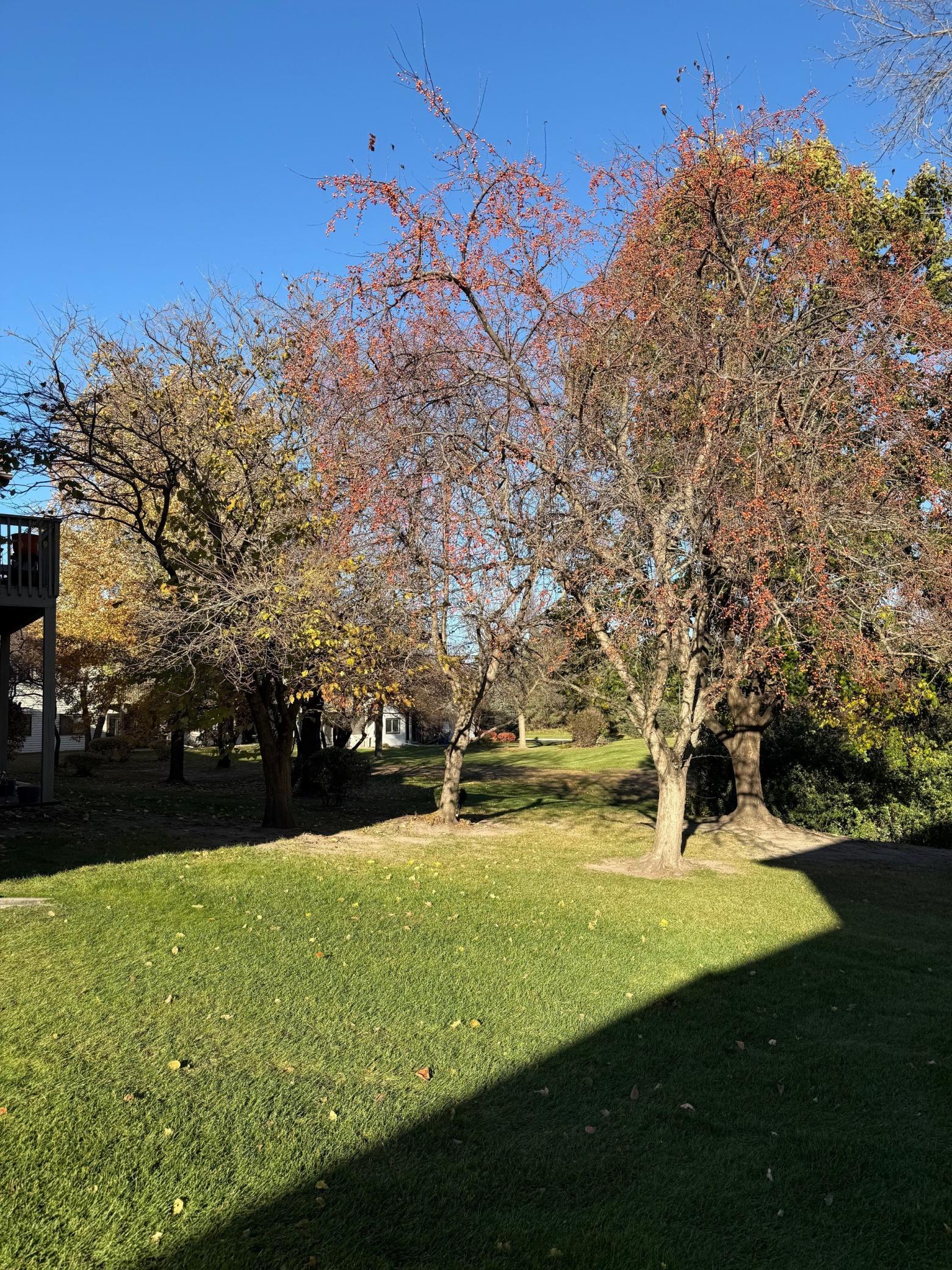 4232 Magnolia Lane 73 Property Photo 52