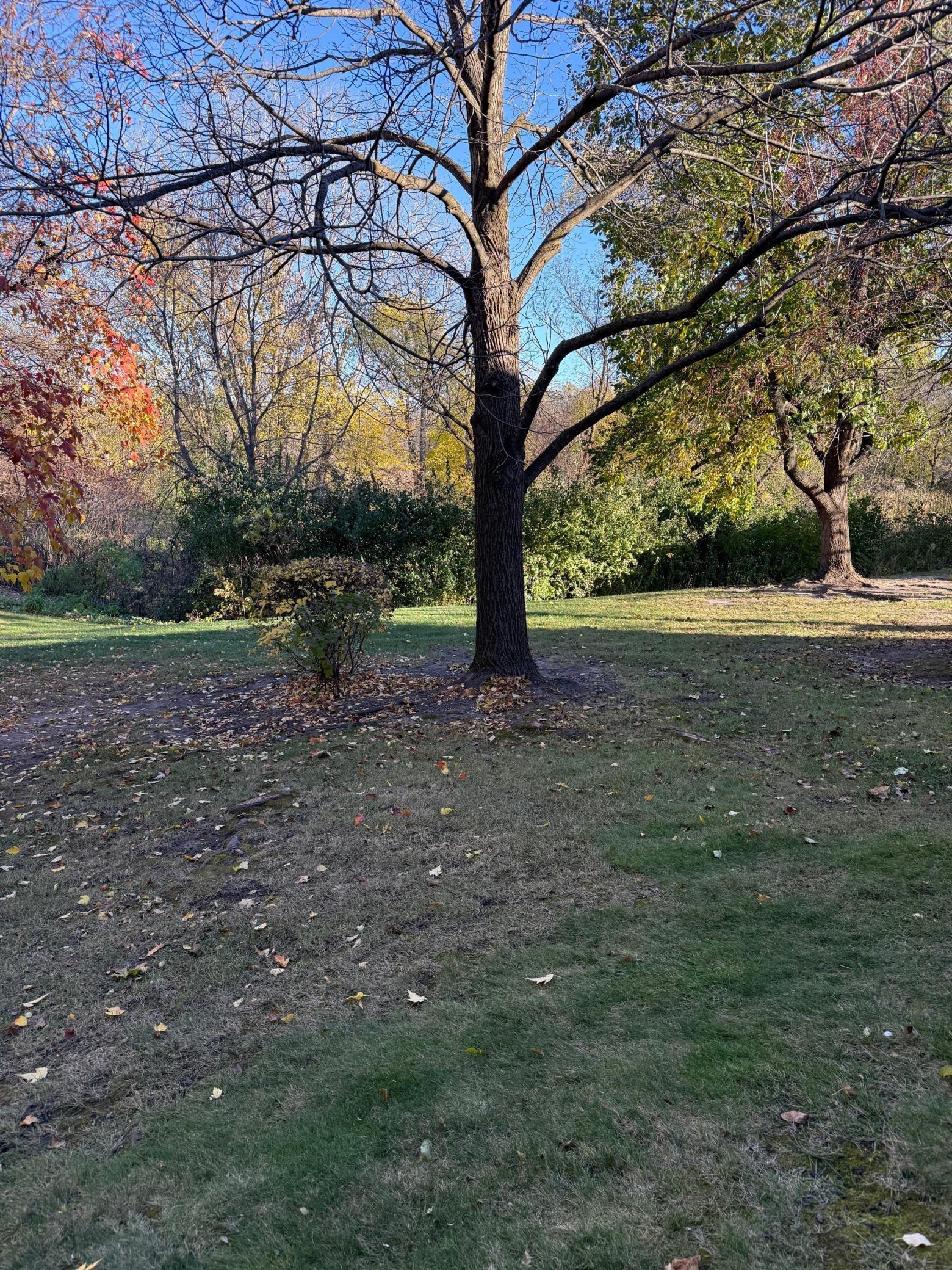 4232 Magnolia Lane 73 Property Photo 53