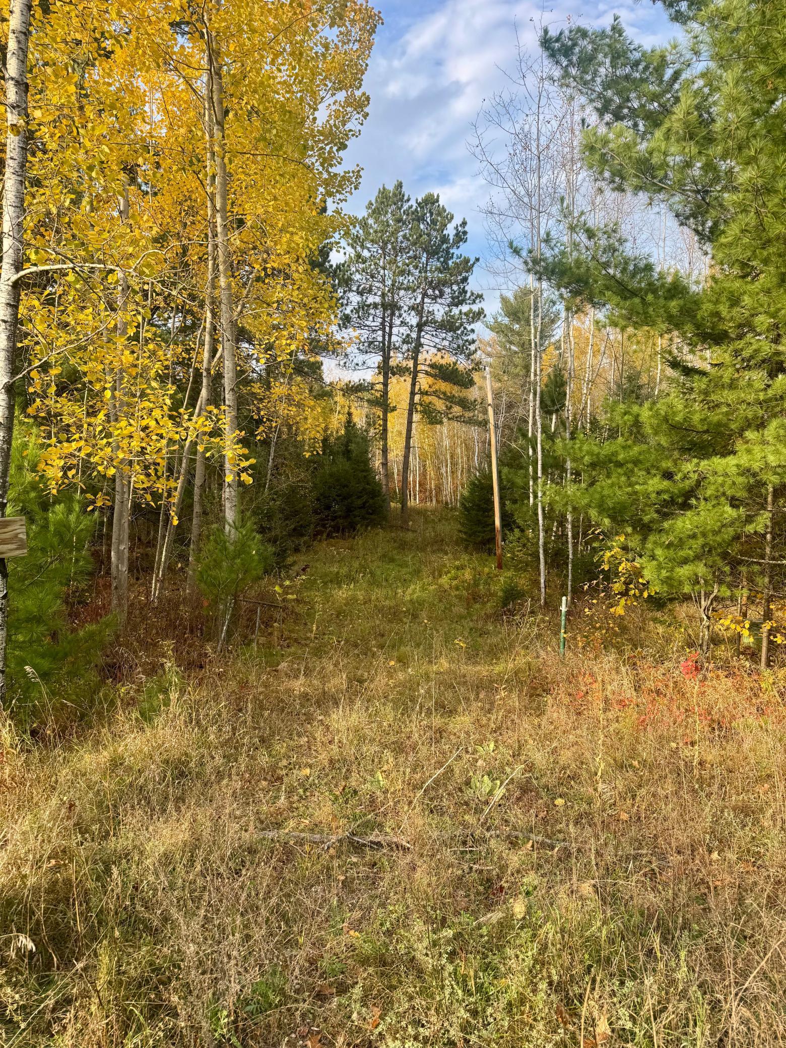 18686 State Highway 200 Property Photo 2
