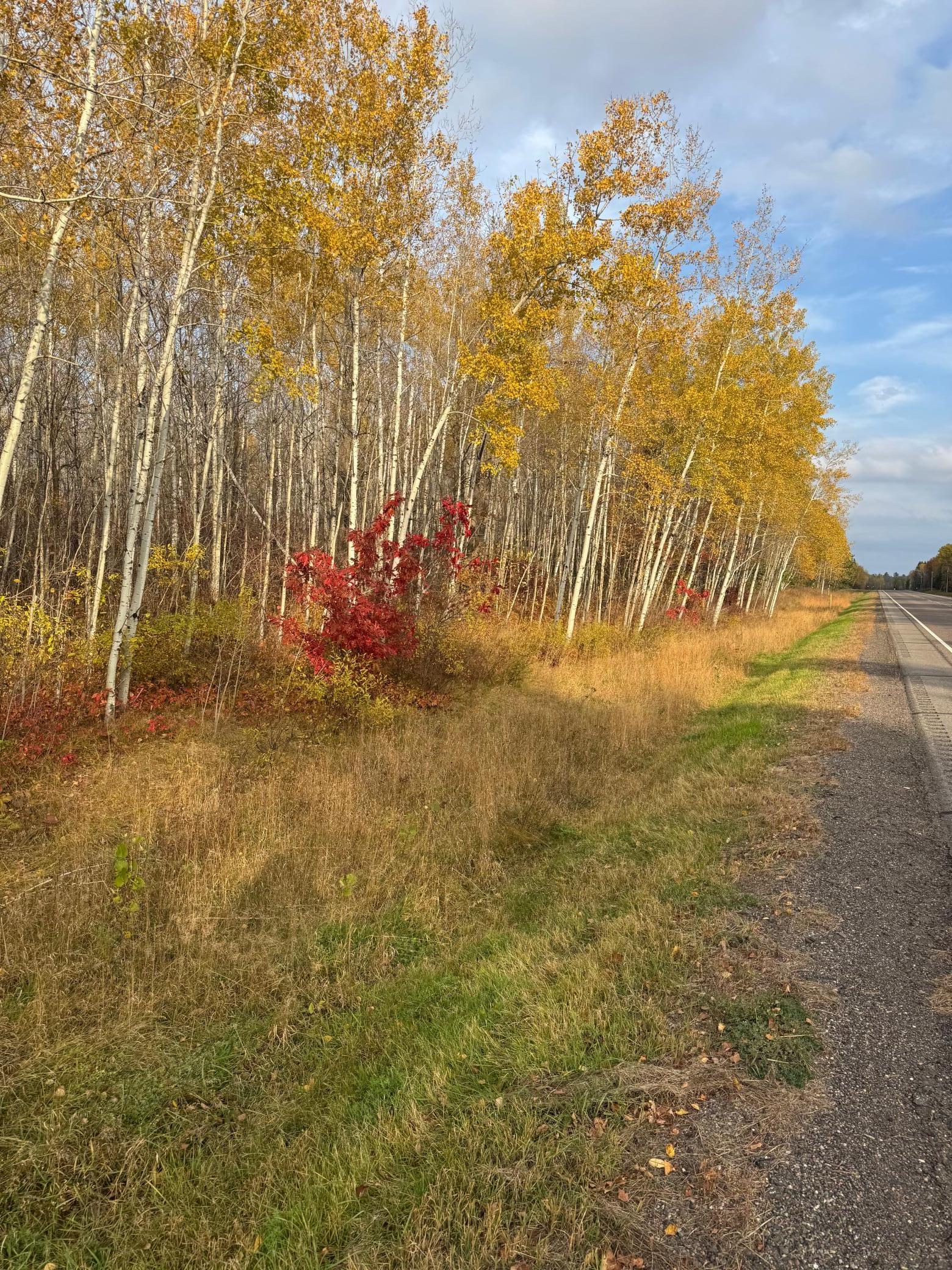 18686 State Highway 200 Property Photo 3