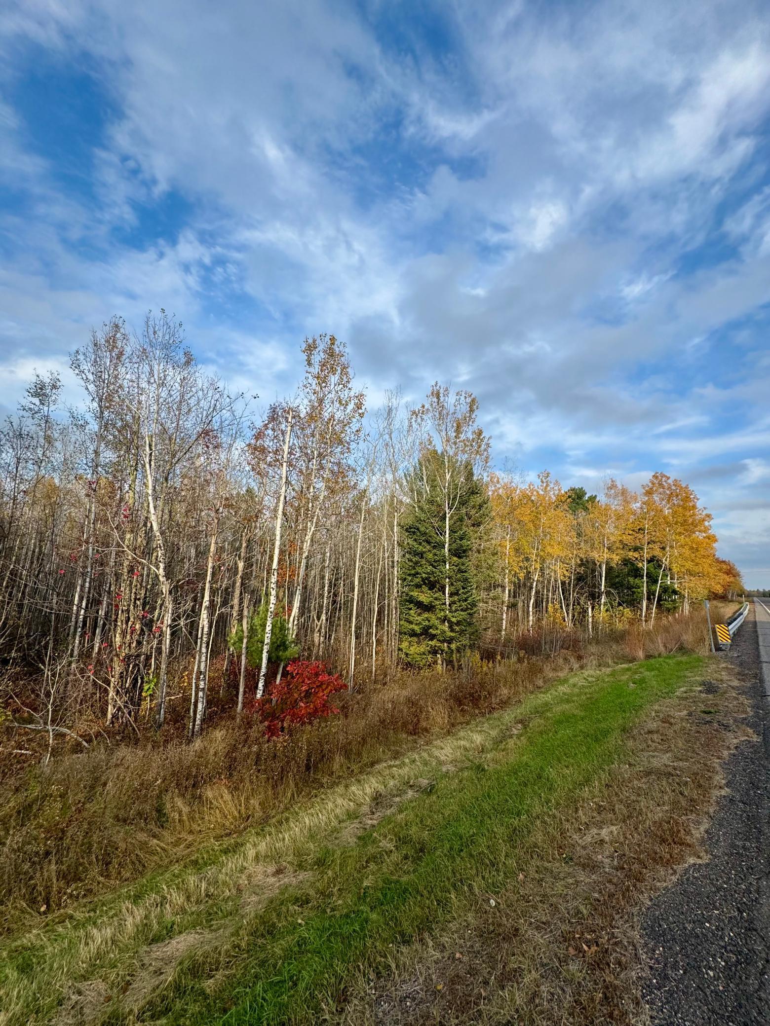 18686 State Highway 200 Property Photo 4