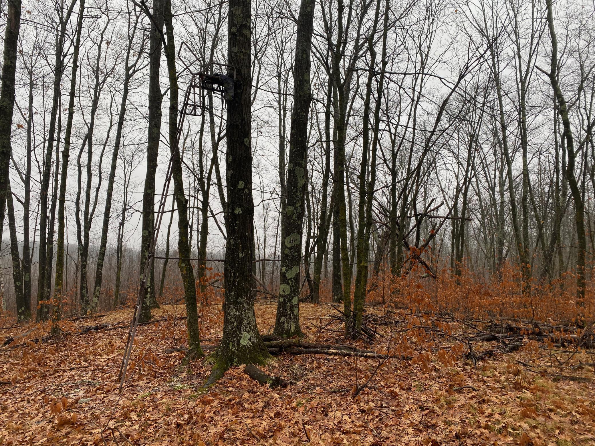 Tbd 170th Place Property Photo 27