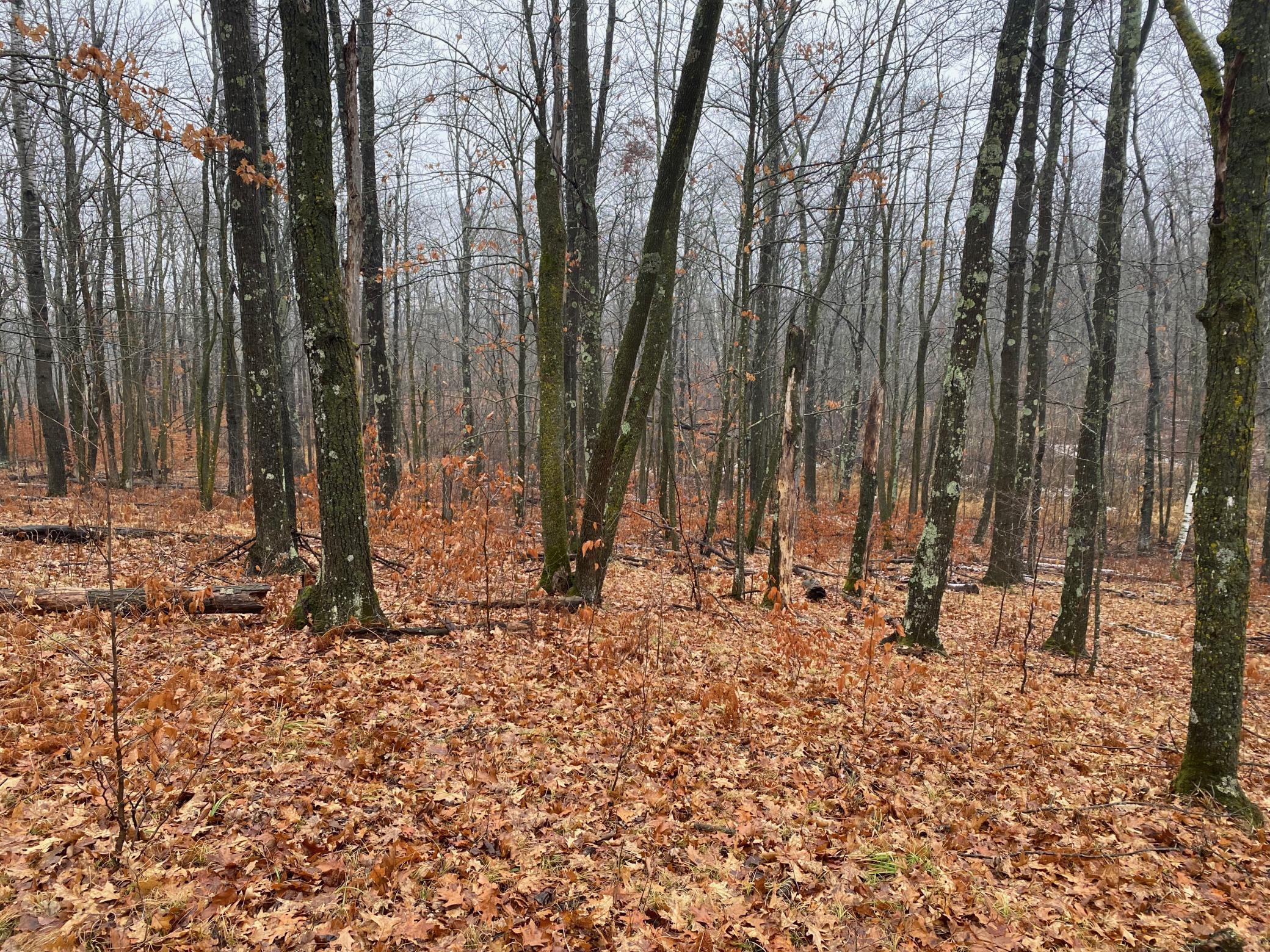 Tbd 170th Place Property Photo 29