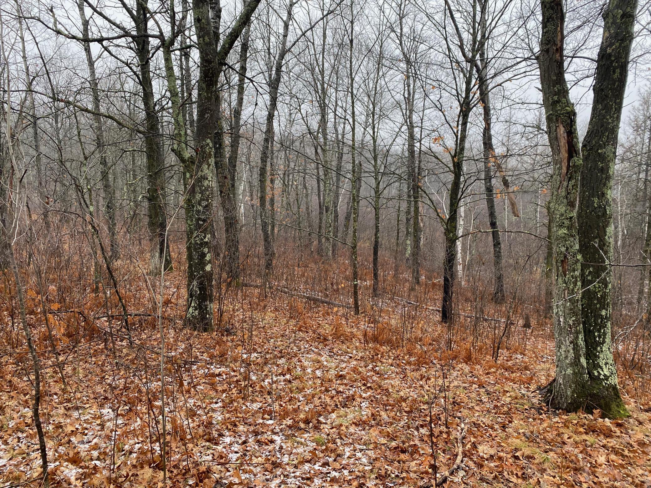 Tbd 170th Place Property Photo 30