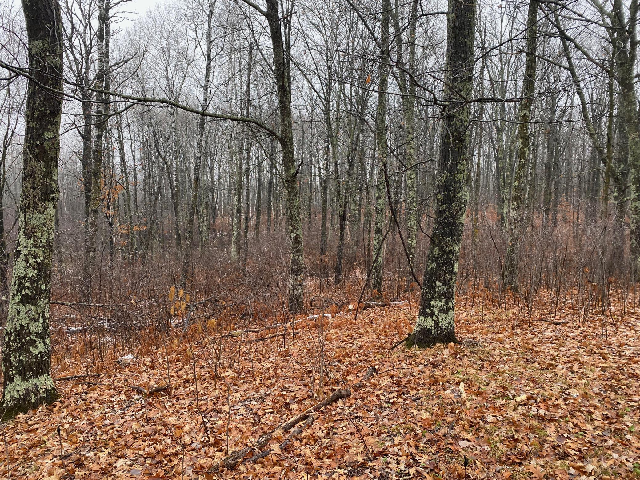 Tbd 170th Place Property Photo 31