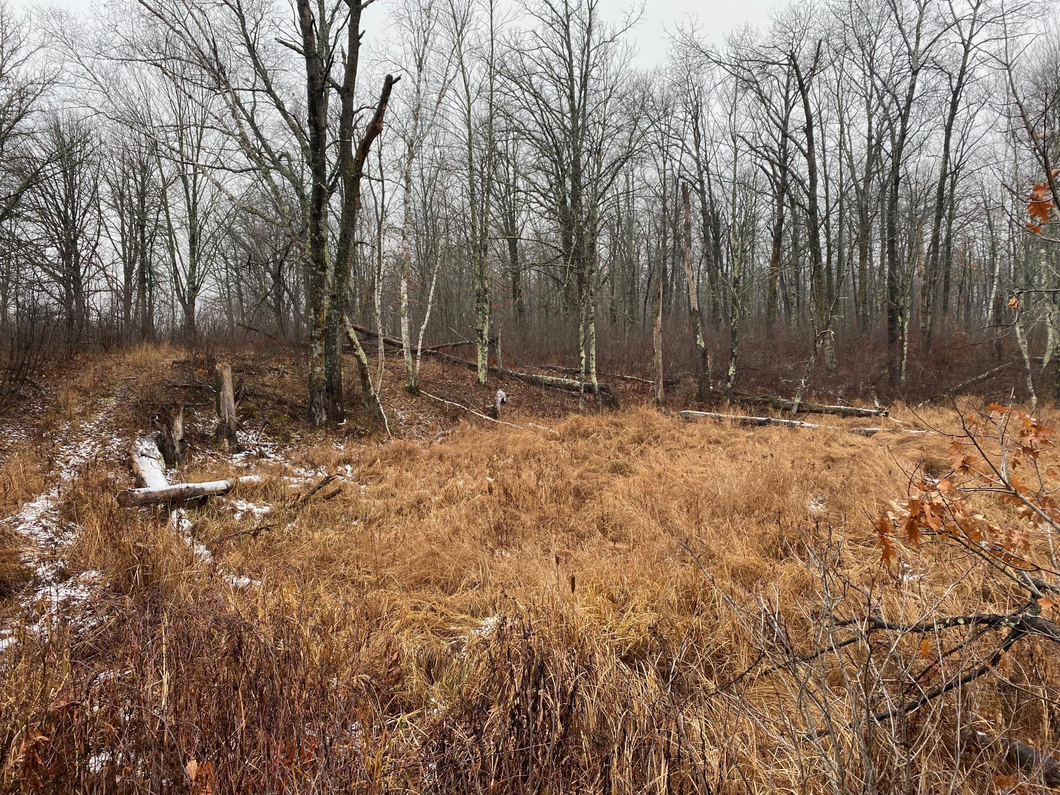 Tbd 170th Place Property Photo 32