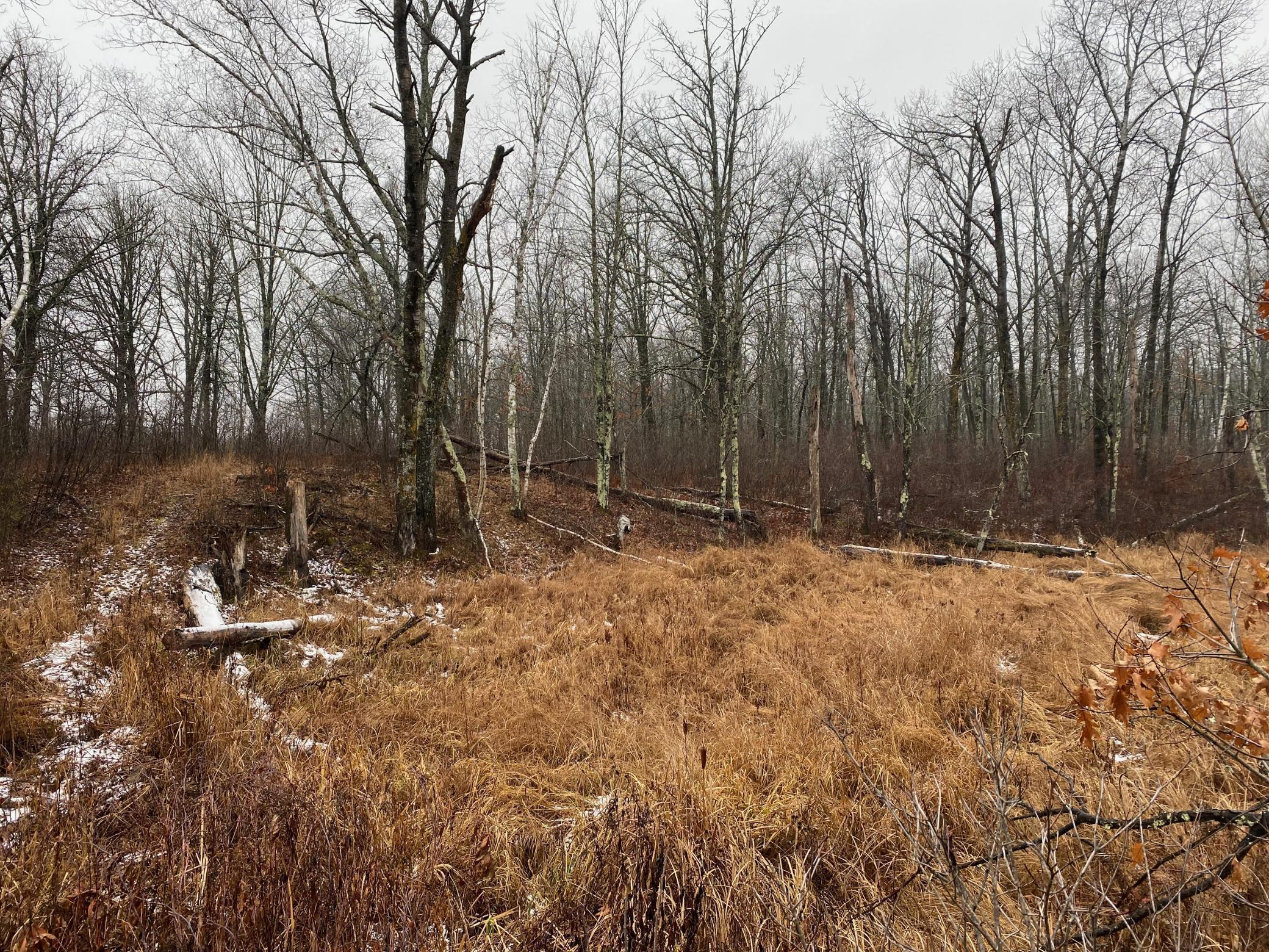 Tbd 170th Place Property Photo 33