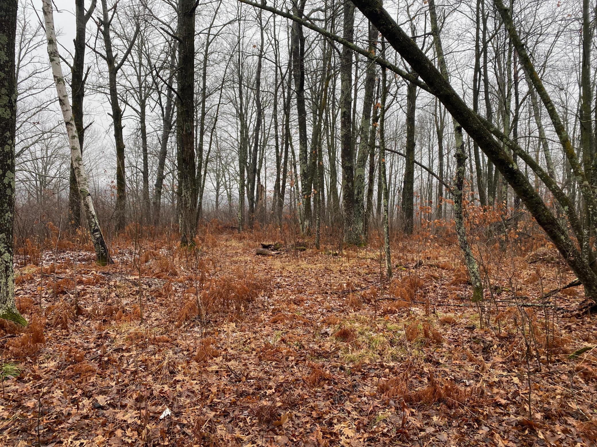 Tbd 170th Place Property Photo 34