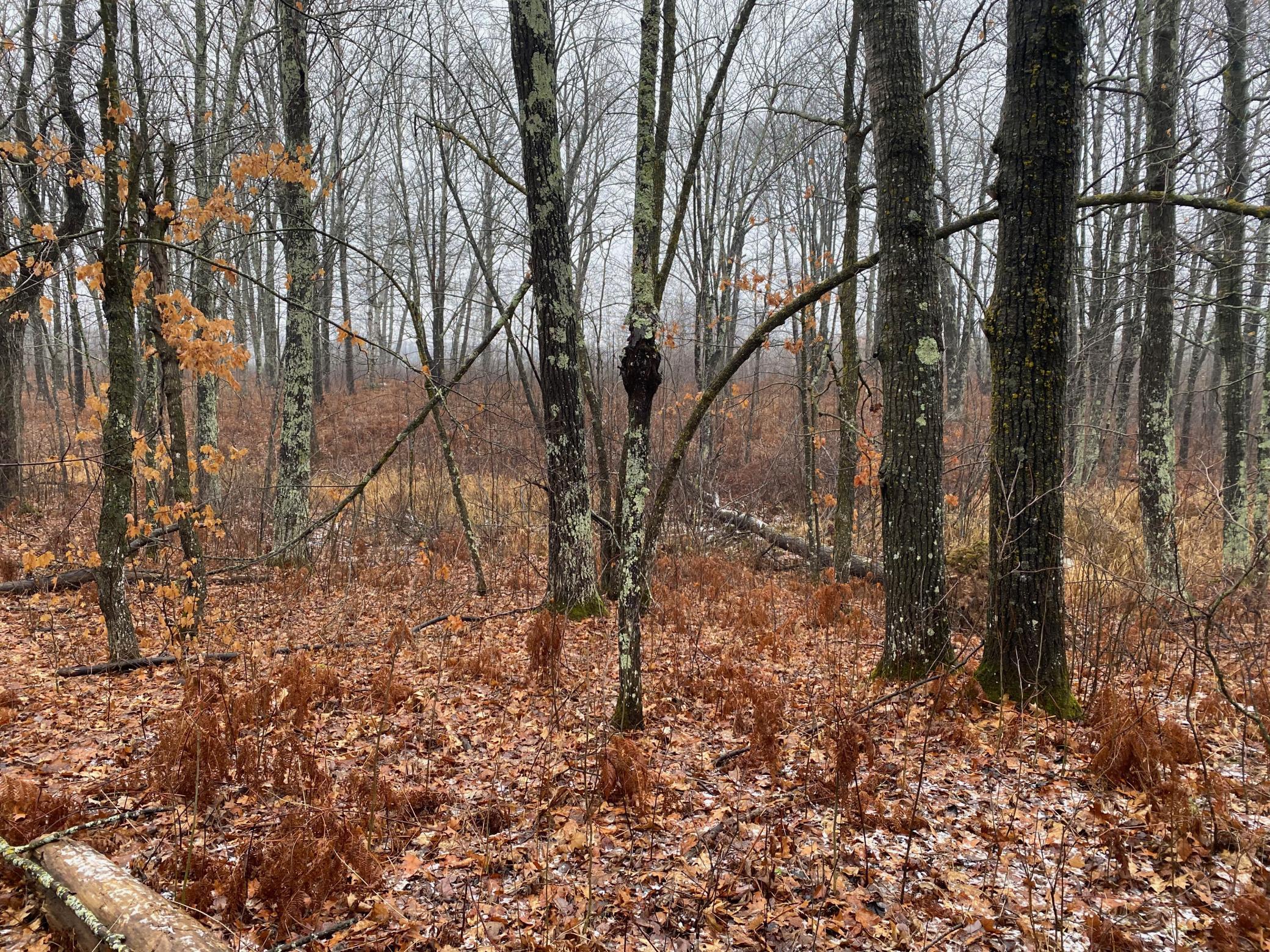 Tbd 170th Place Property Photo 35