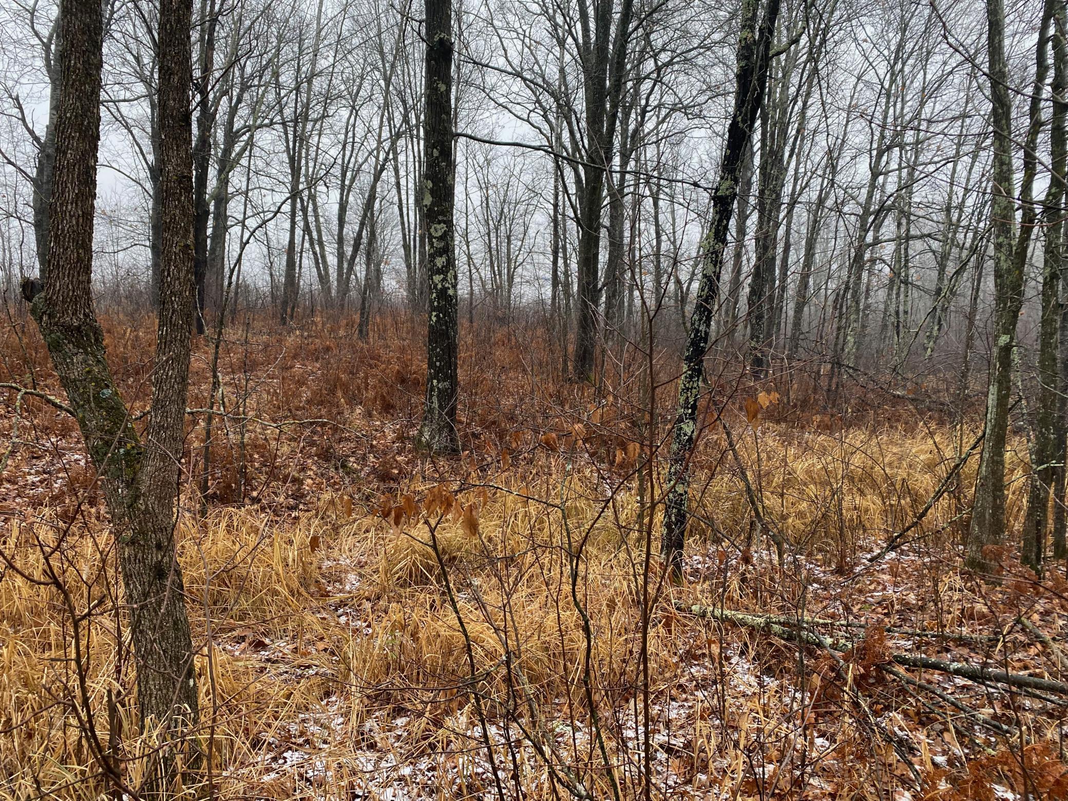 Tbd 170th Place Property Photo 36