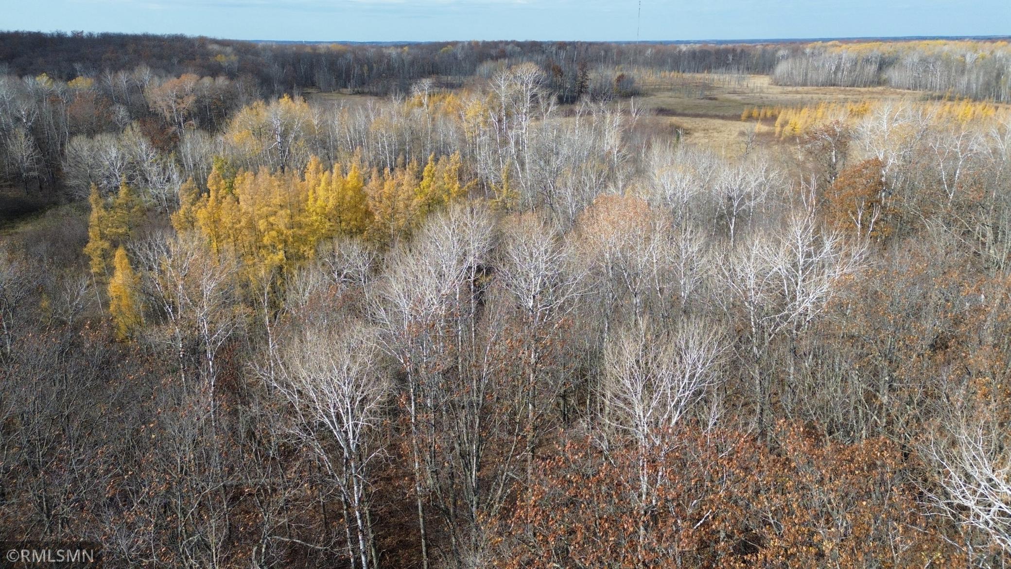 Tbd 170th Place Property Photo 47